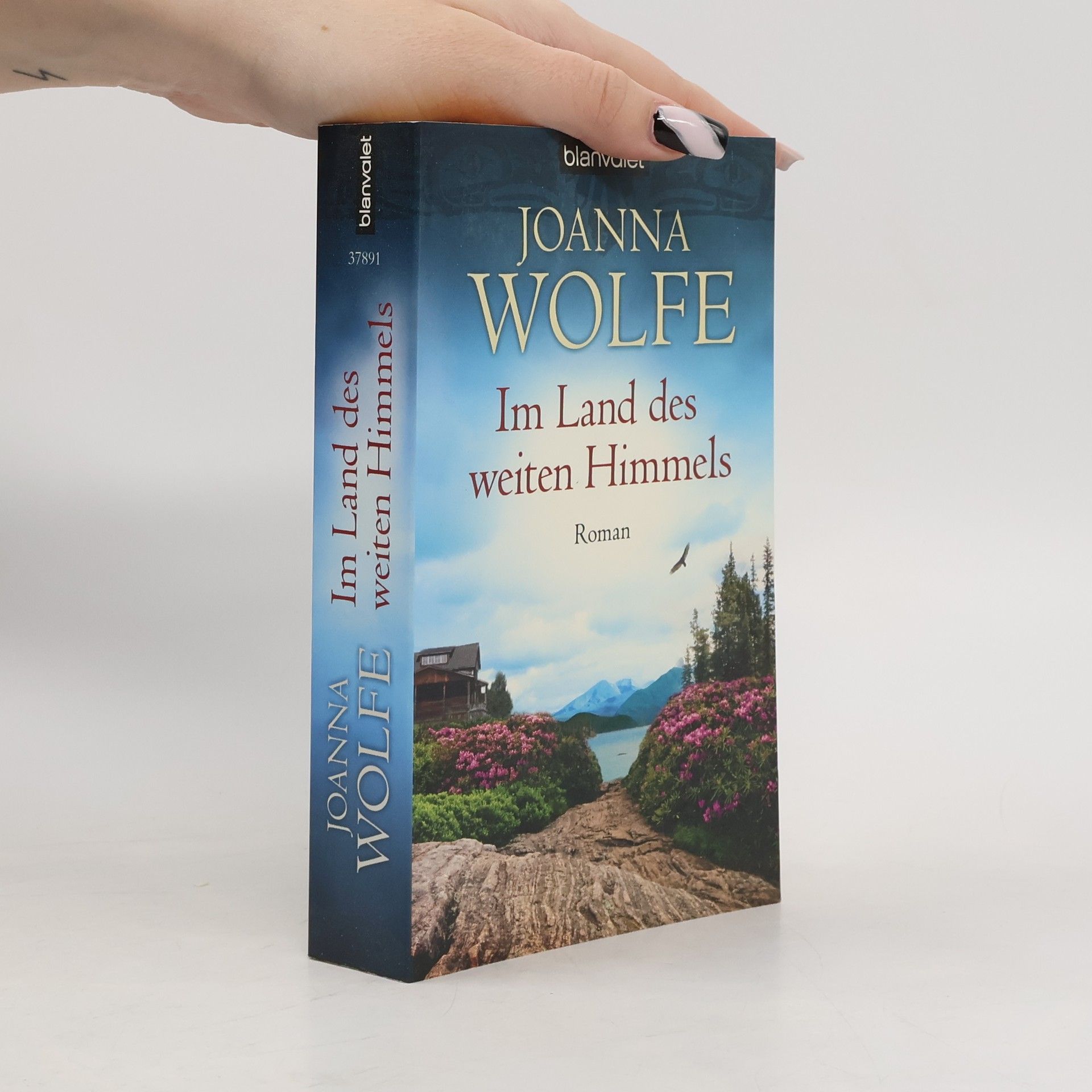 Joanna Wolfe Im Land des weiten Himmels