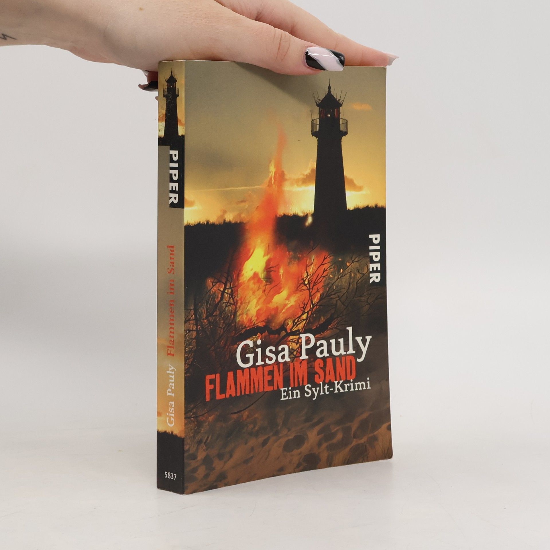 Gisa Pauly Flammen im Sand
