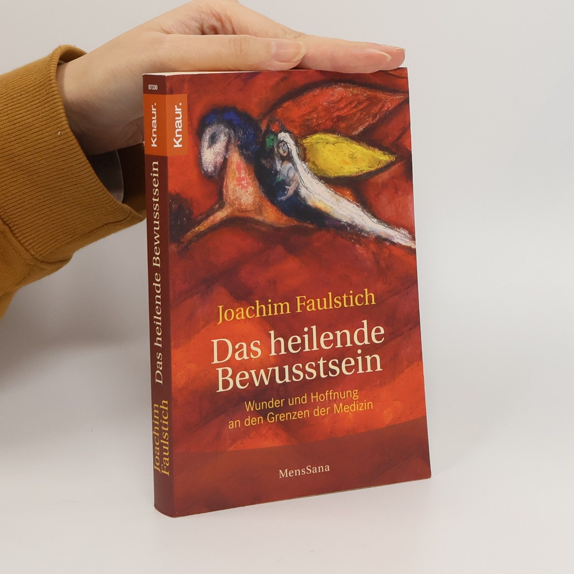 Joachim Faulstich Das heilende Bewusstsein