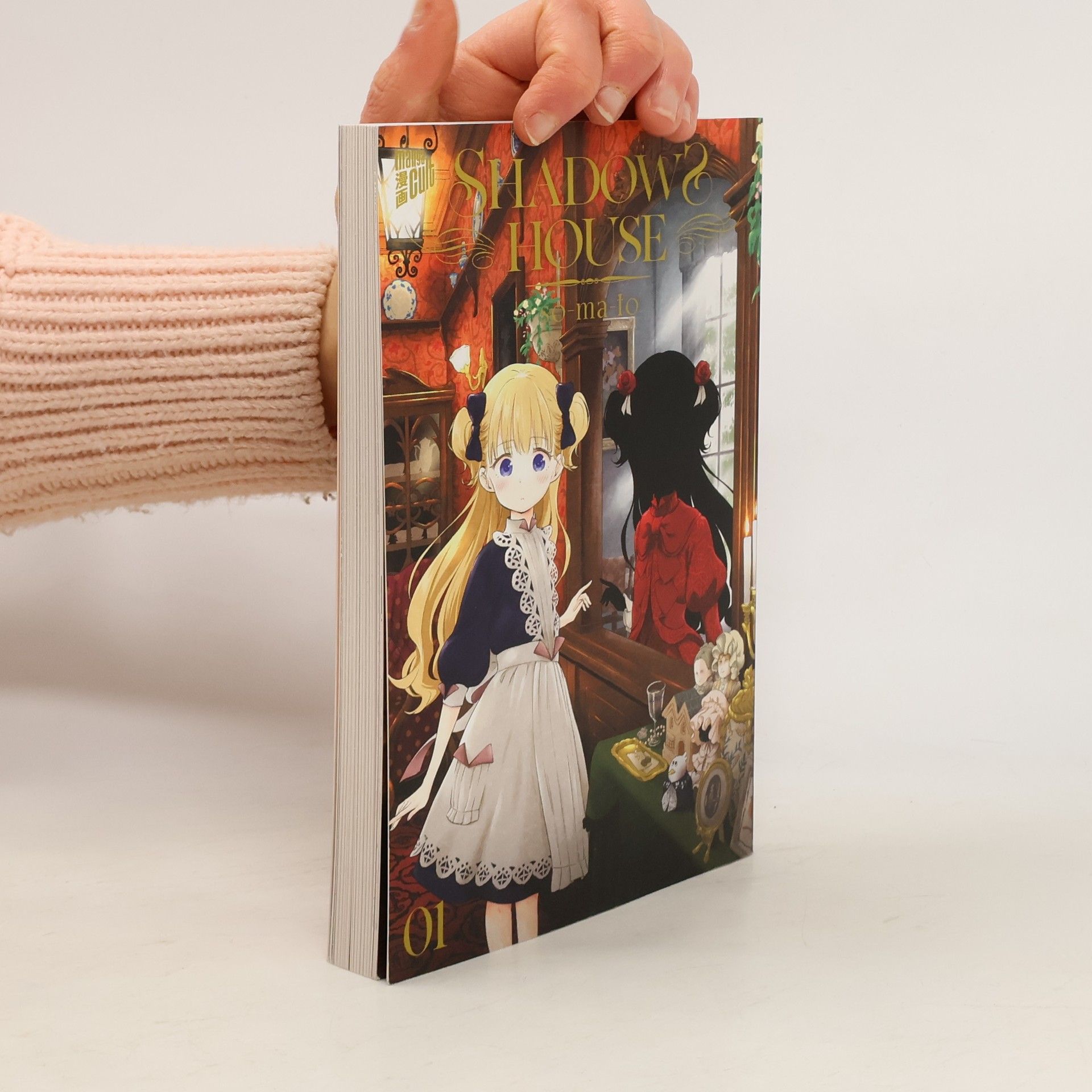 Somato Shadows House 1