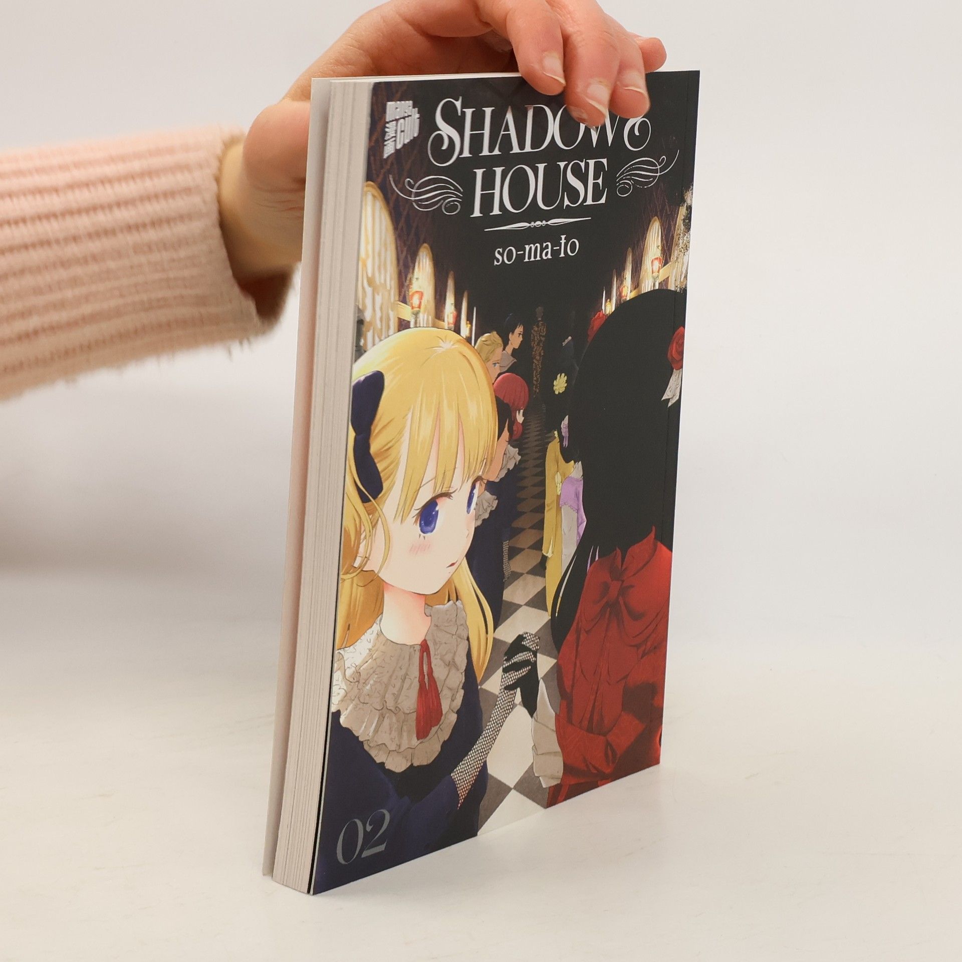 Somato Shadows House 2