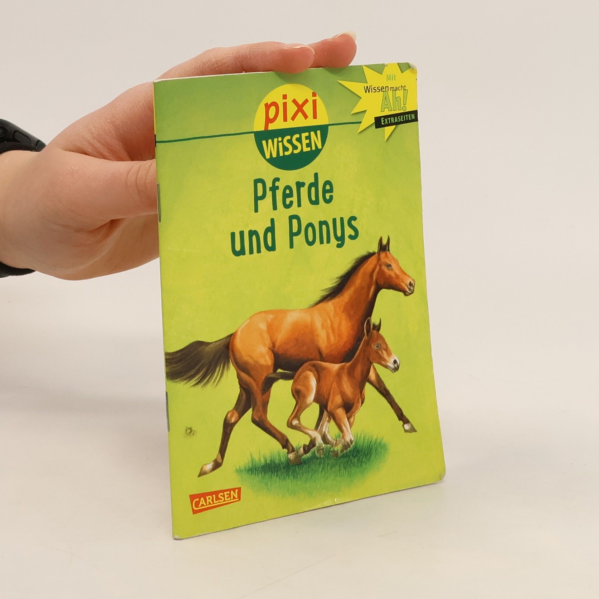 Hanna Sörensen Pferde und Ponys