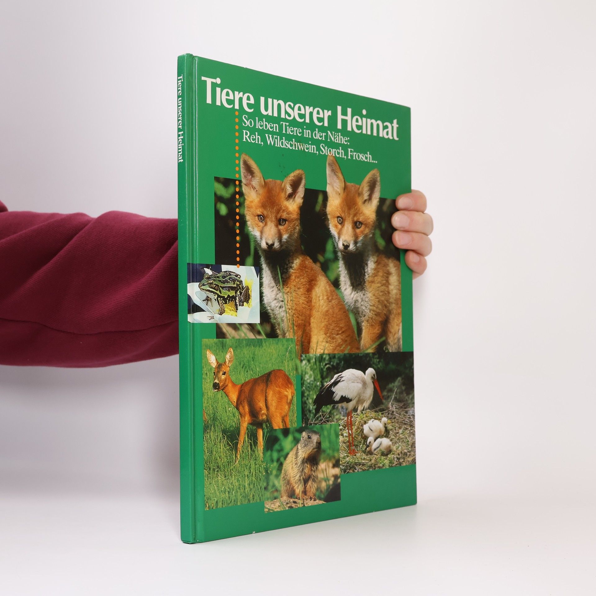 Collectif d'auteurs Tiere unserer Heimat