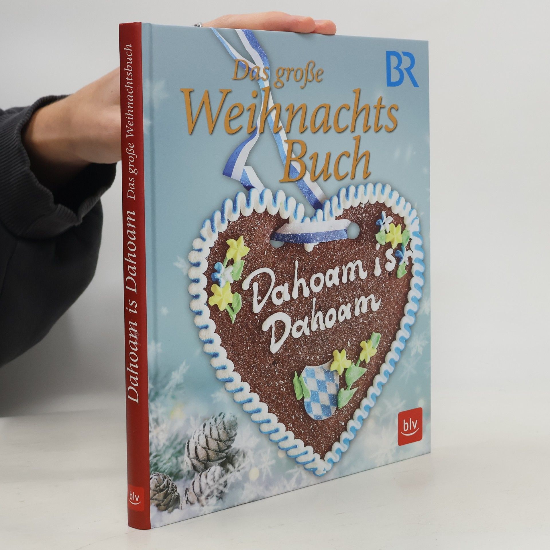 Auteurscollectief Dahoam is Dahoam. Das große Weihnachtsbuch