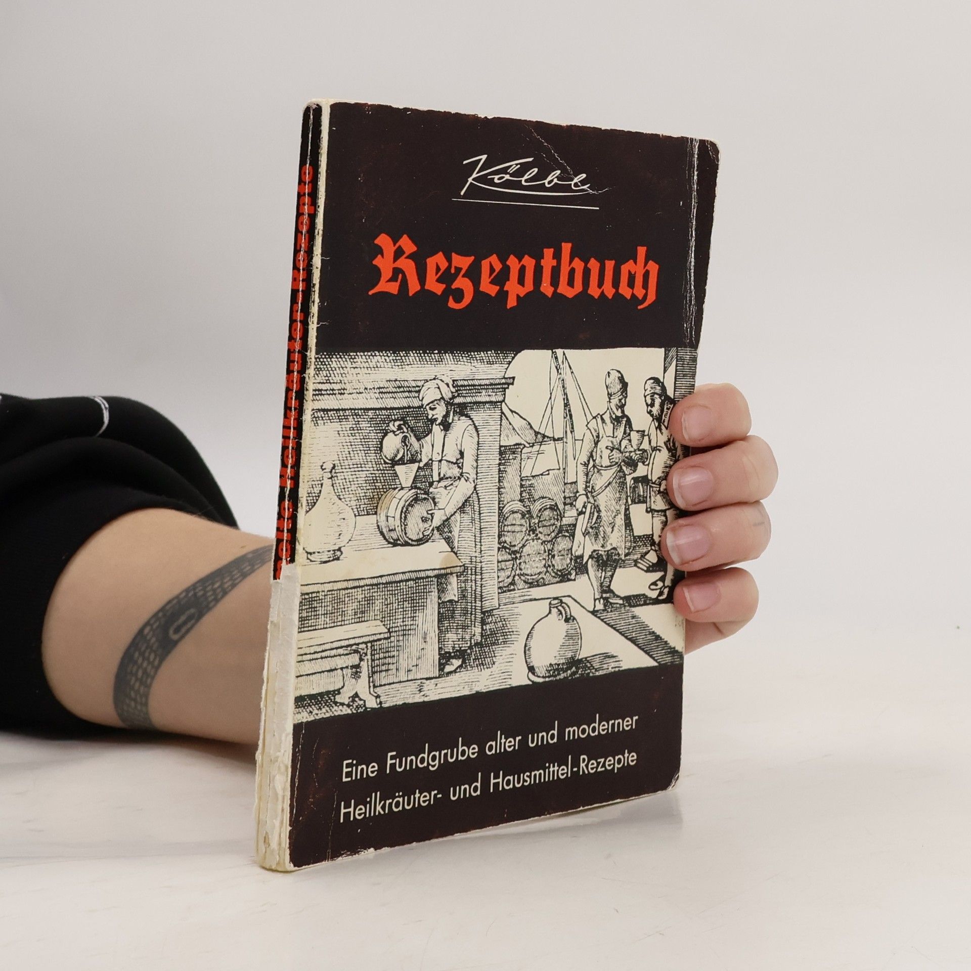 Autorenkollektiv Rezeptbuch. Eine Fundgrube alter und moderner Heilkräuter und Hausmittel Rezepte
