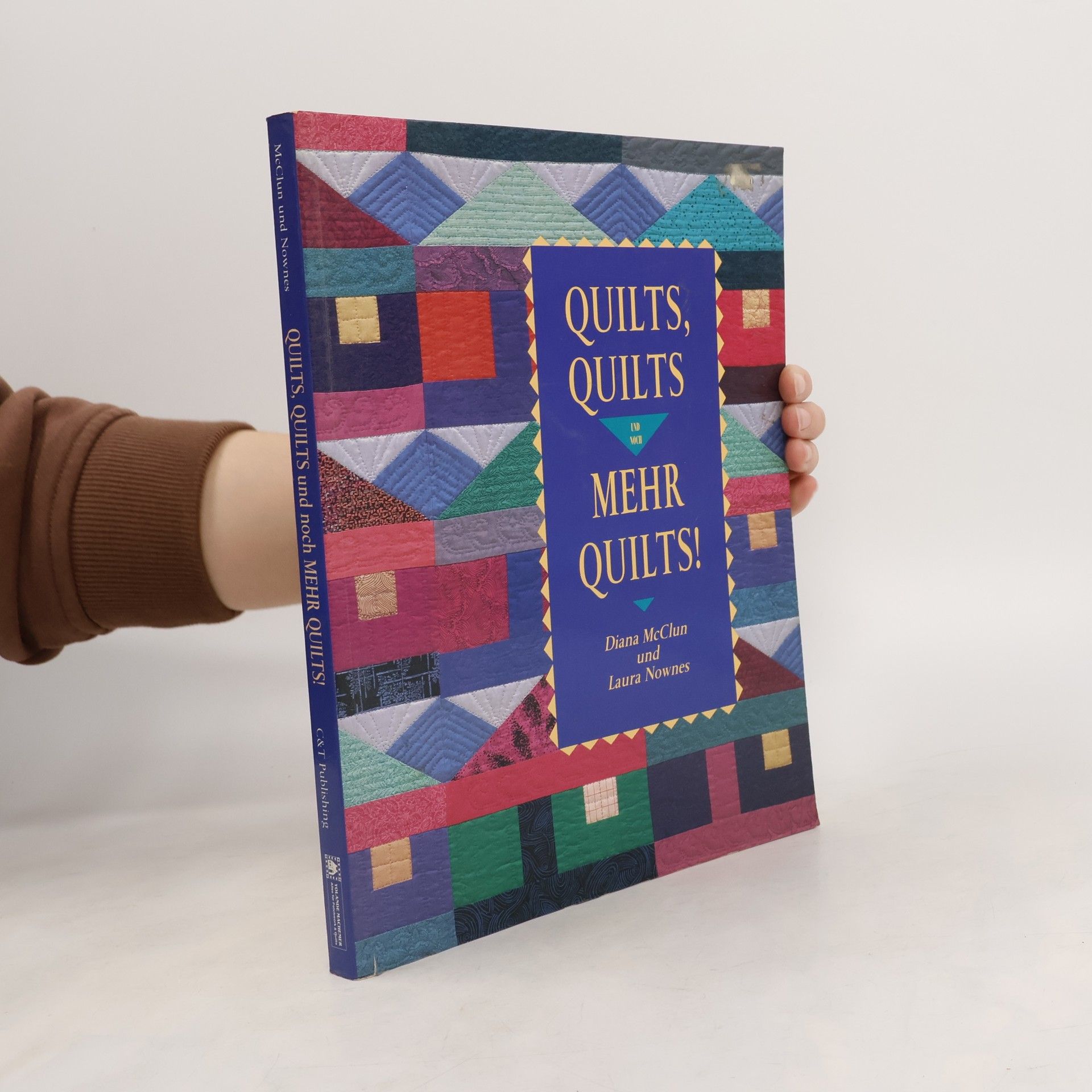 Diana McClun Quilts, Quilts, and More Quilts!