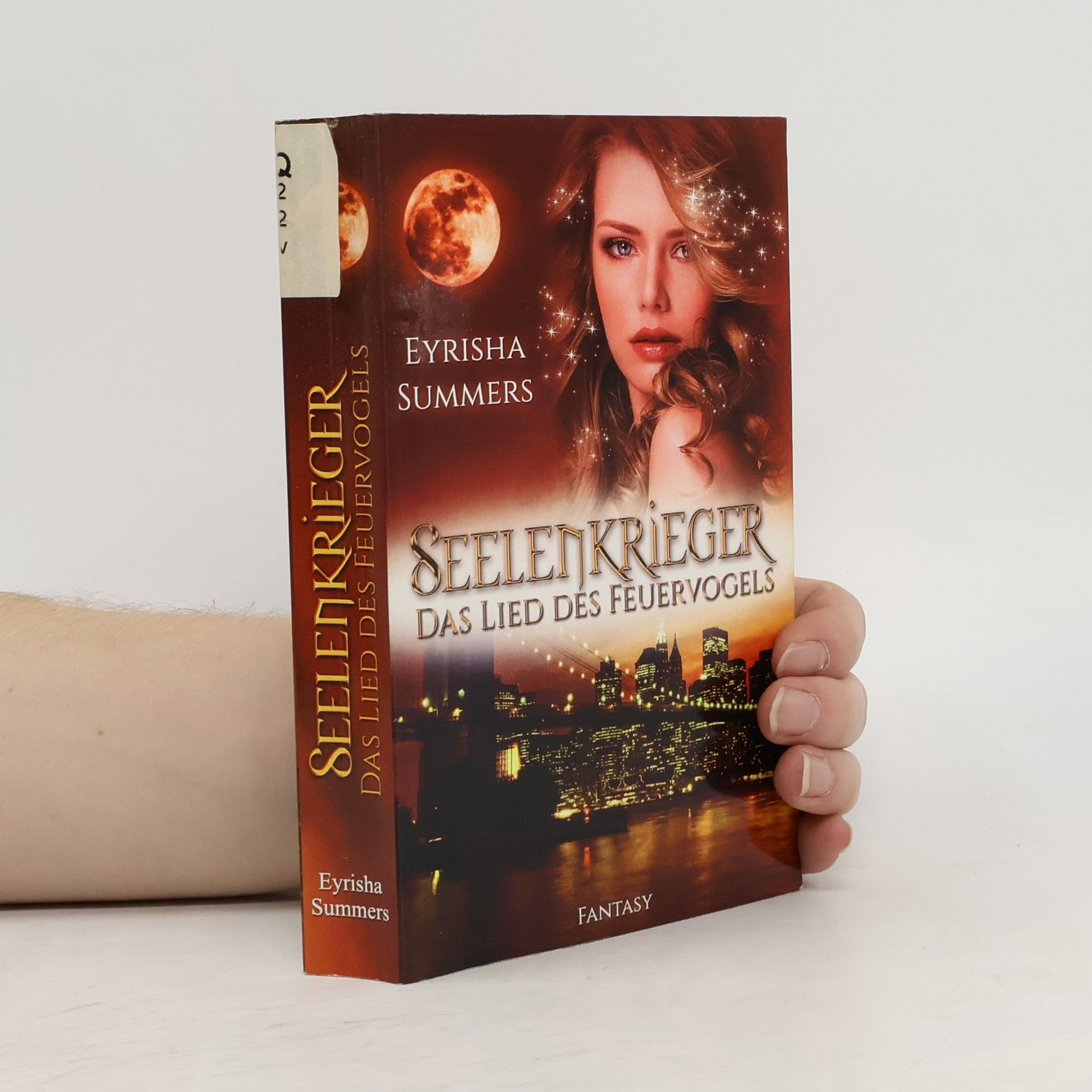 Seelenkrieger - Das Lied des Feuervogels