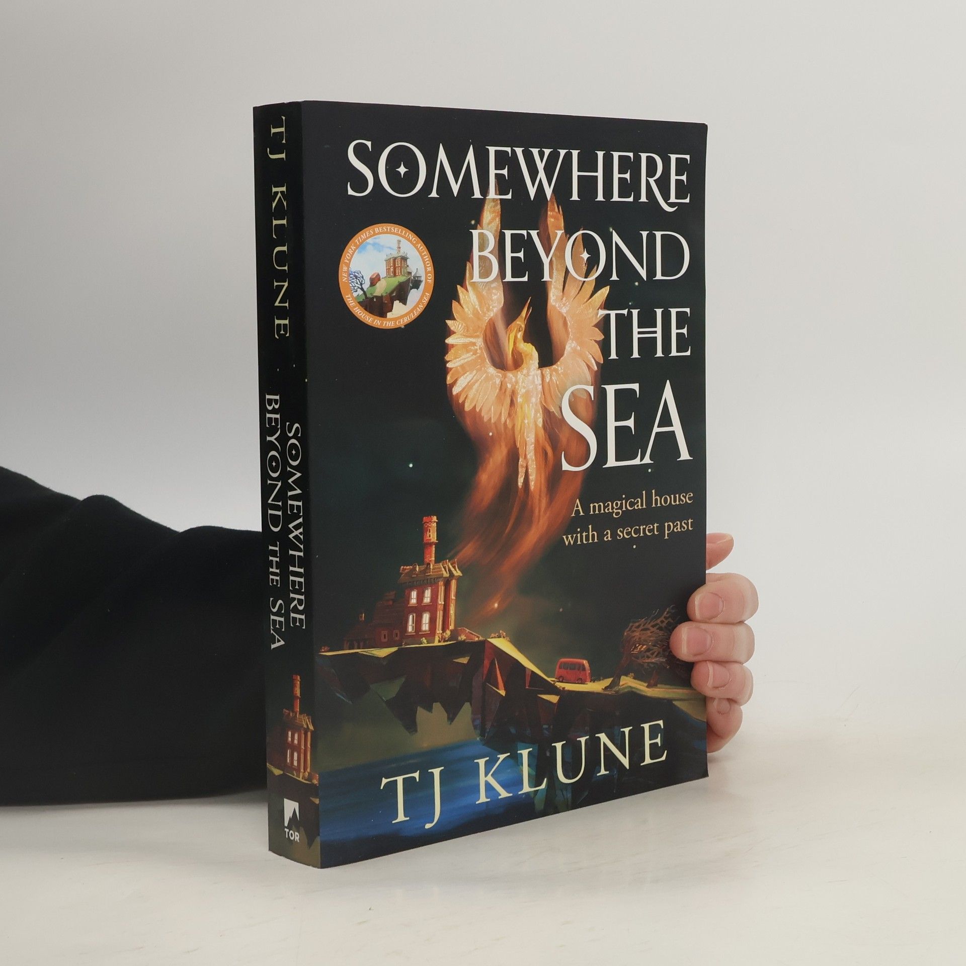 Somewhere Beyond the Sea