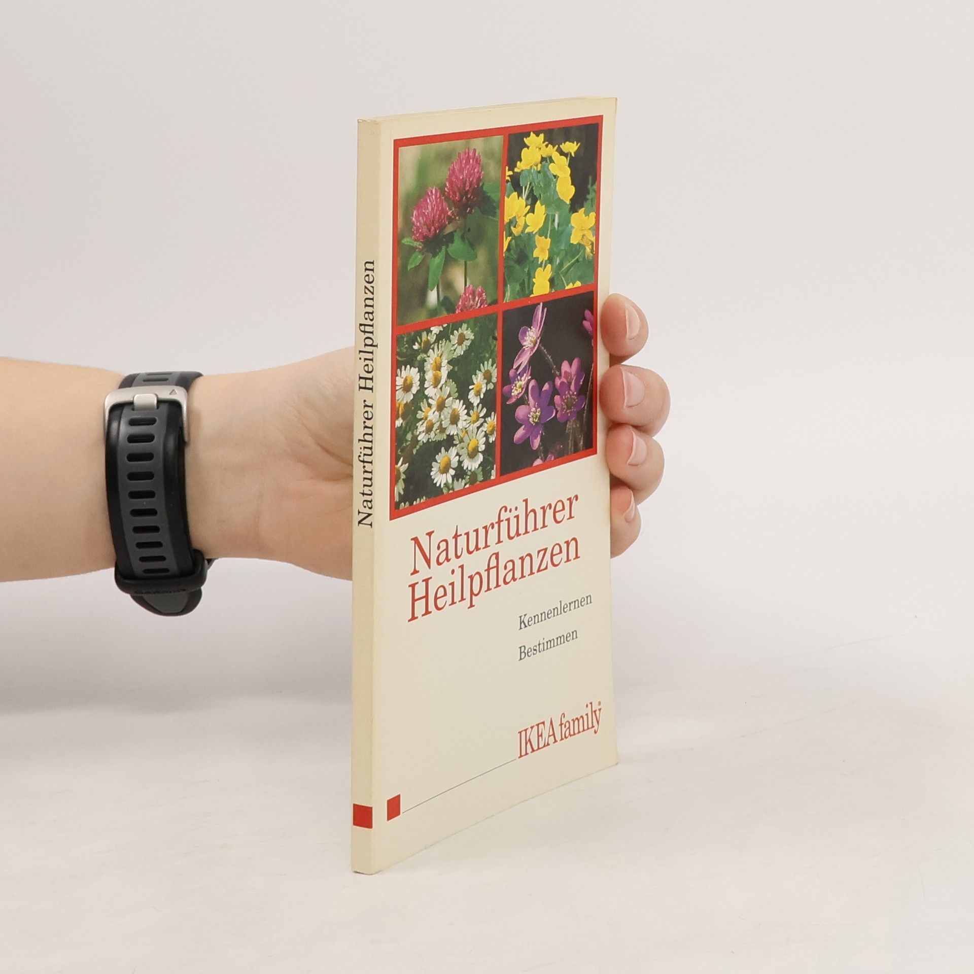 Autorenkollektiv Naturführer Heilpflanzen