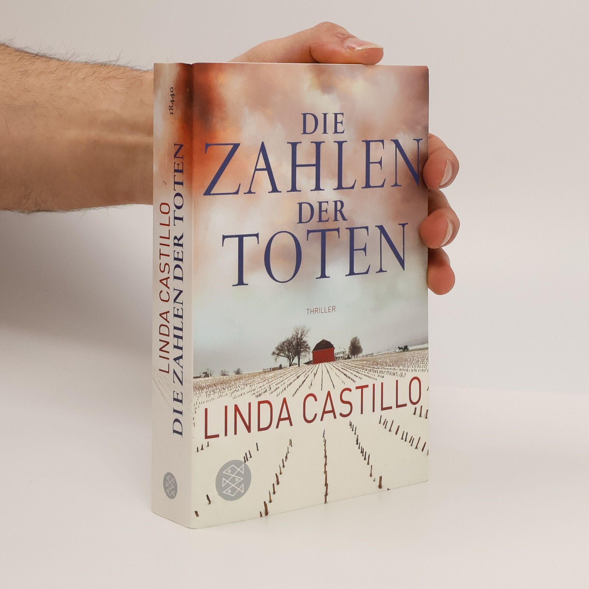 Linda Castillo Die Zahlen der Toten