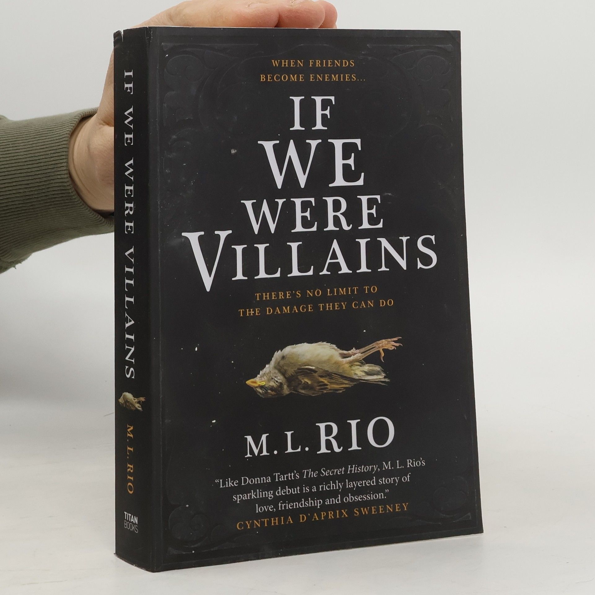 M. L. Rio If We Were Villains