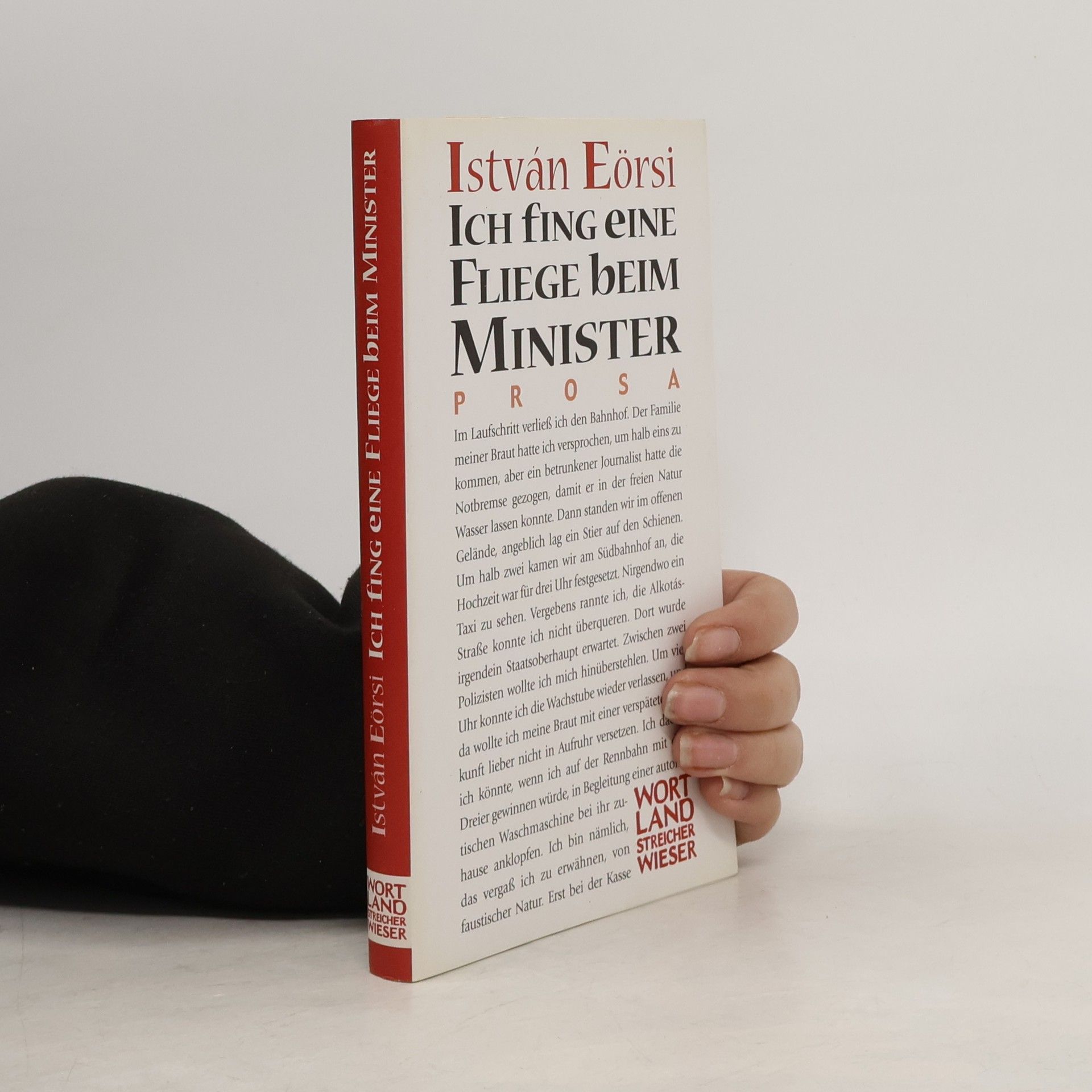 Ich fing eine Fliege beim Minister