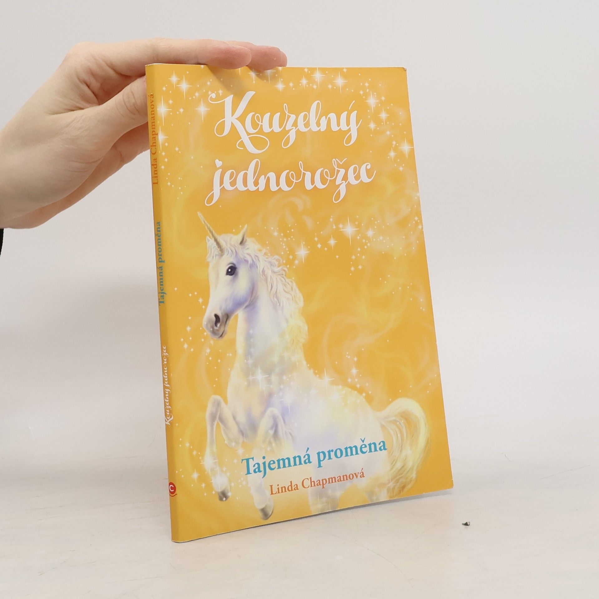 Linda Chapman Tajemná proměna