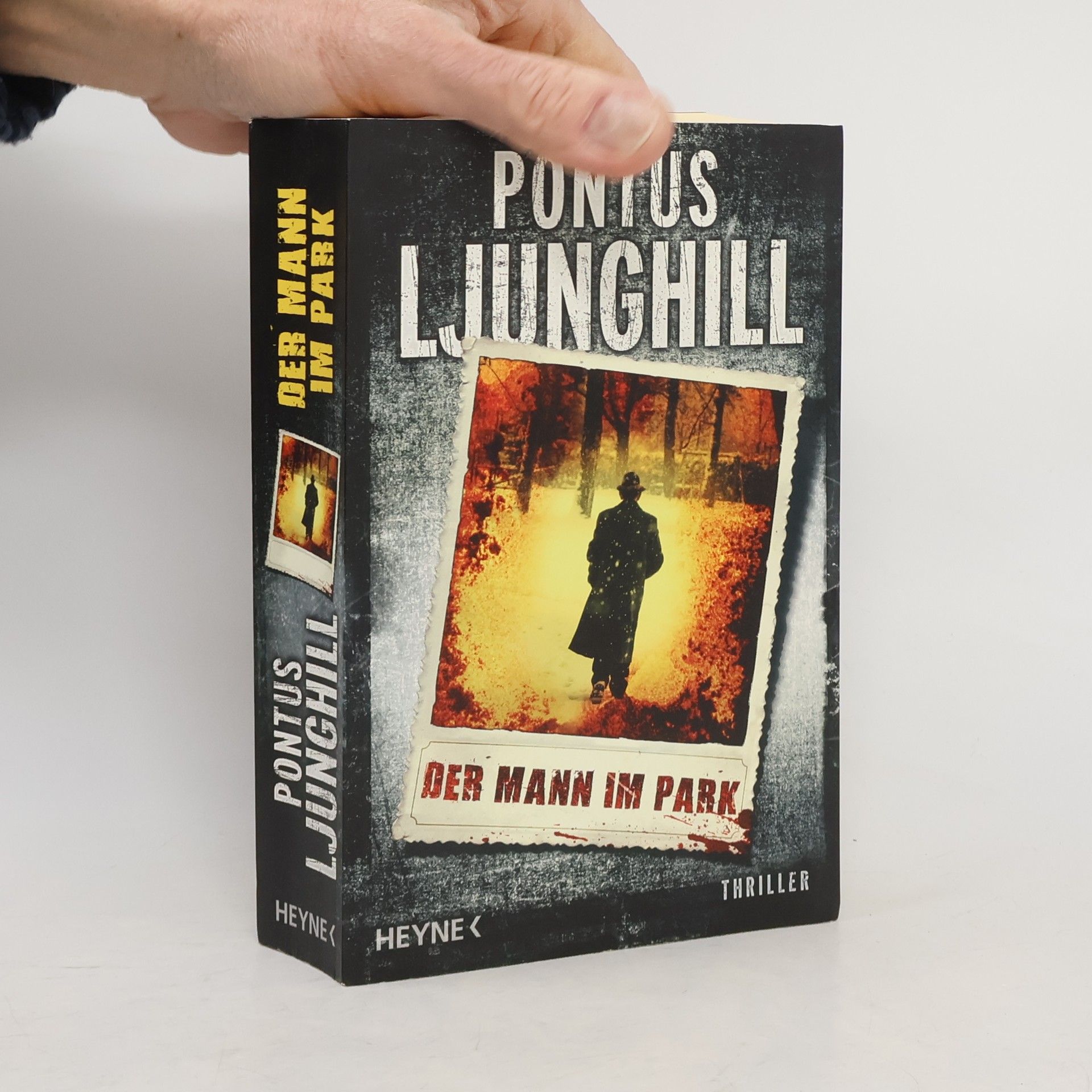 Pontus Ljunghill Der Mann im Park