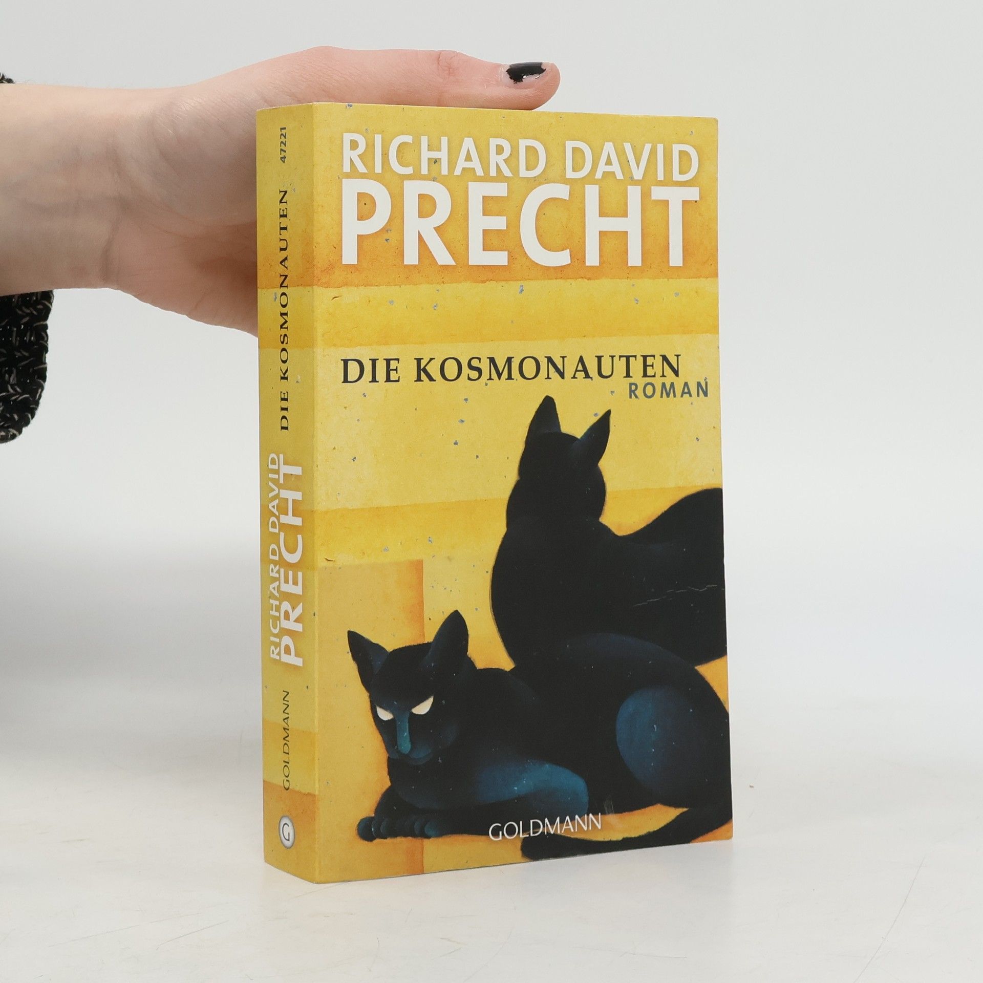 Richard David Precht Die Kosmonauten