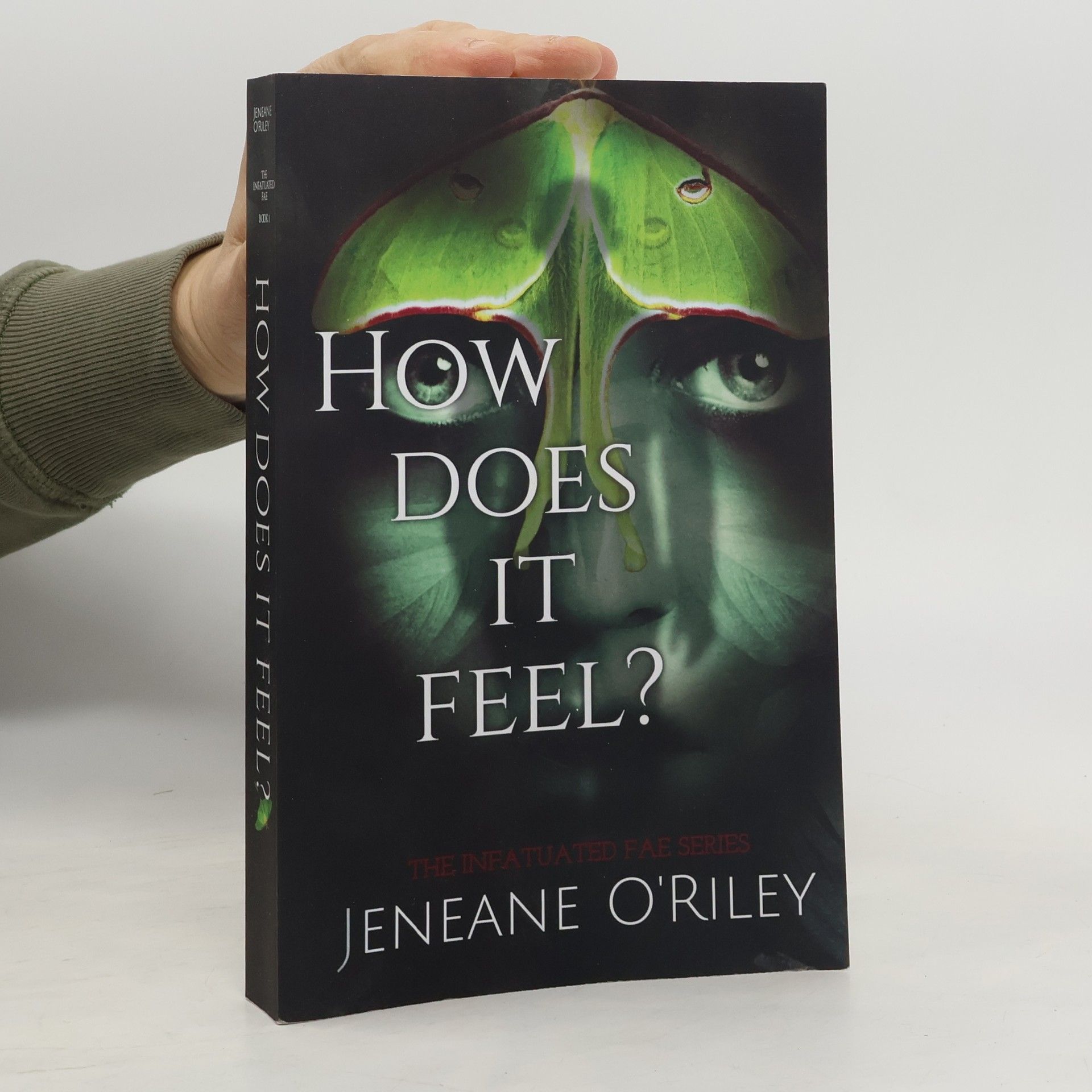 Jeneane O'Riley The Infatuated Fae Series - 1: How Does It Feel?