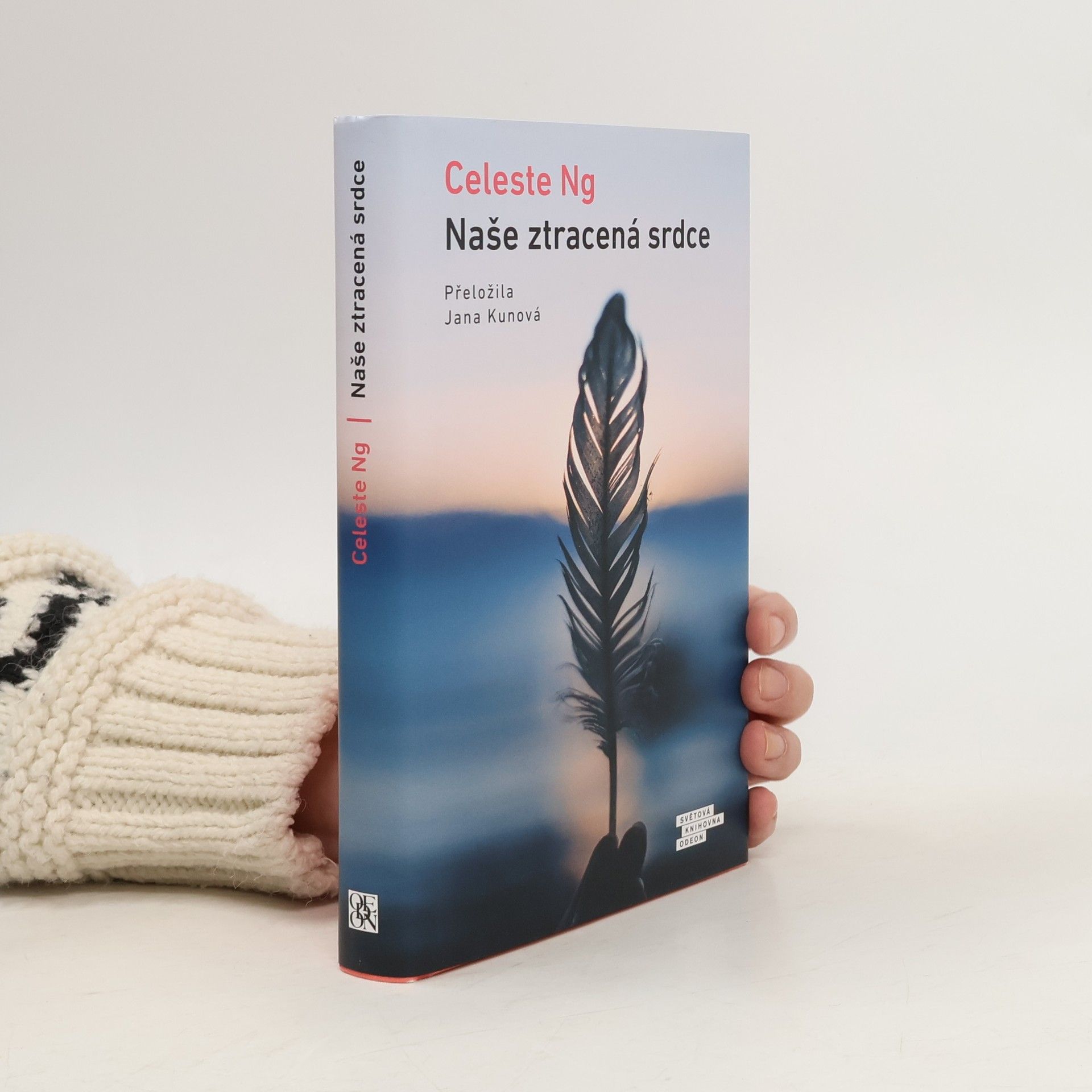 Celeste Ng Naše ztracená srdce