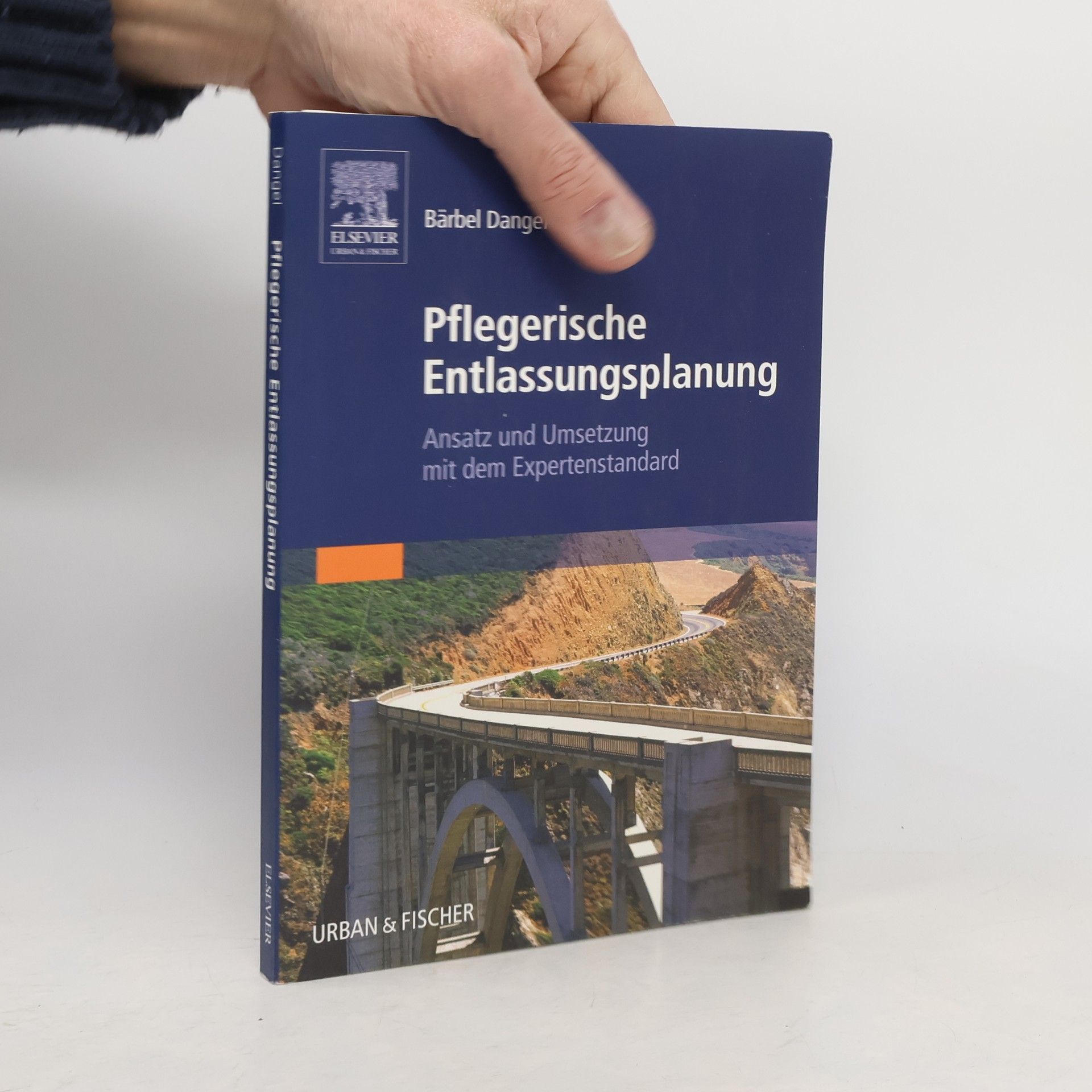 Bärbel Dangel Pflegerische Entlassungsplanung