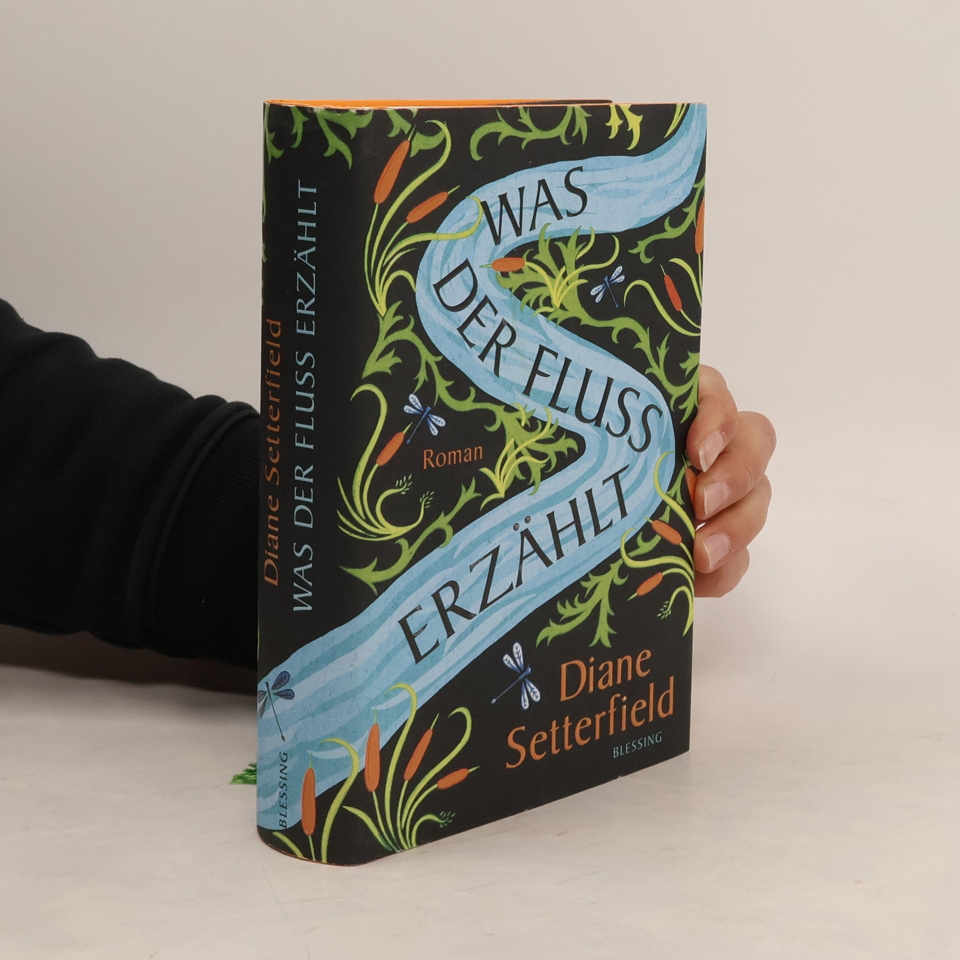 Diane Setterfield Was der Fluss erzählt