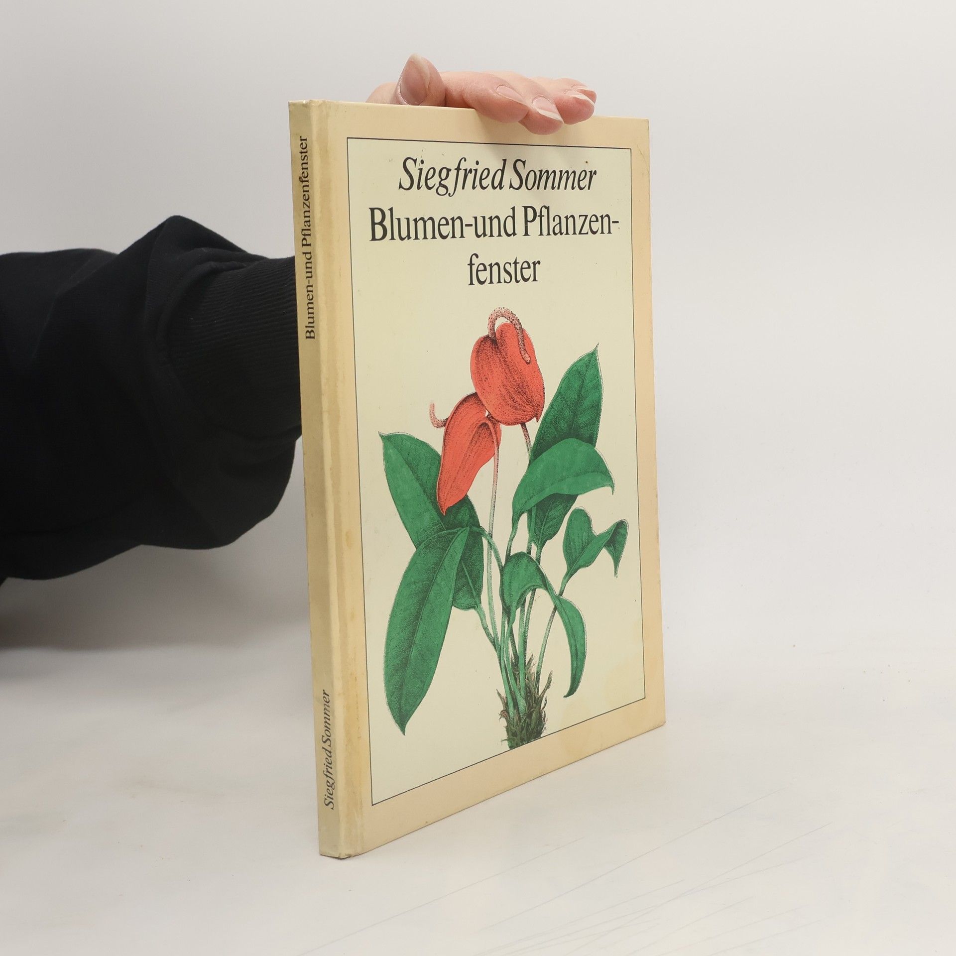 Siegfried Sommer Blumen und Pflanzen fenster