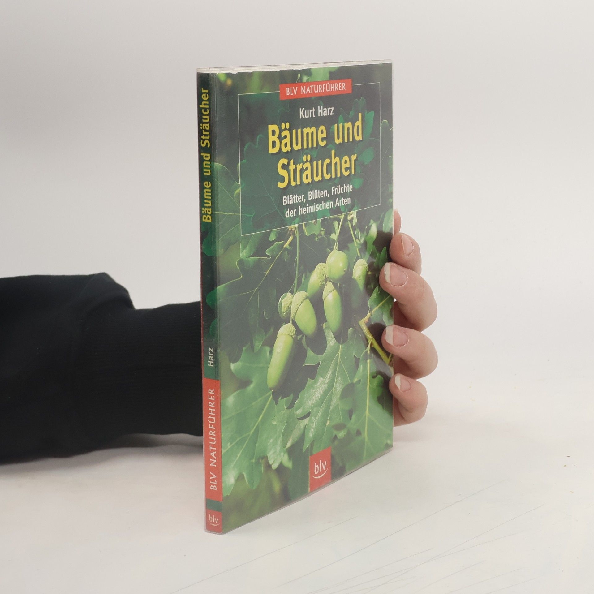 Kurt Harz Bäume und Sträucher