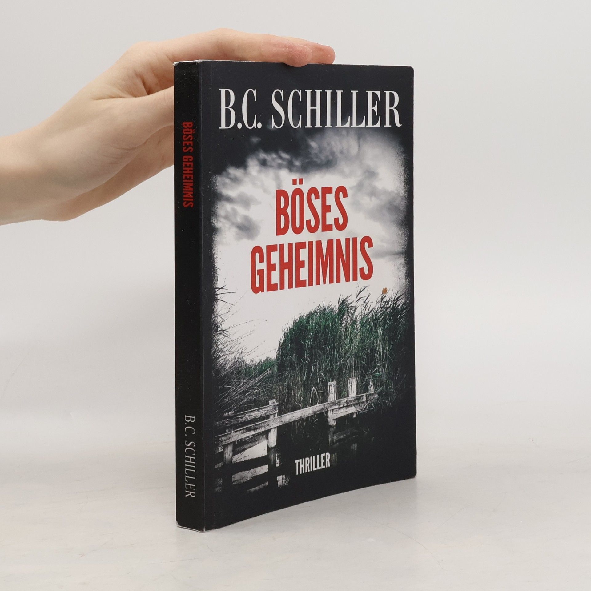 B. C. Schiller Böses Geheimnis