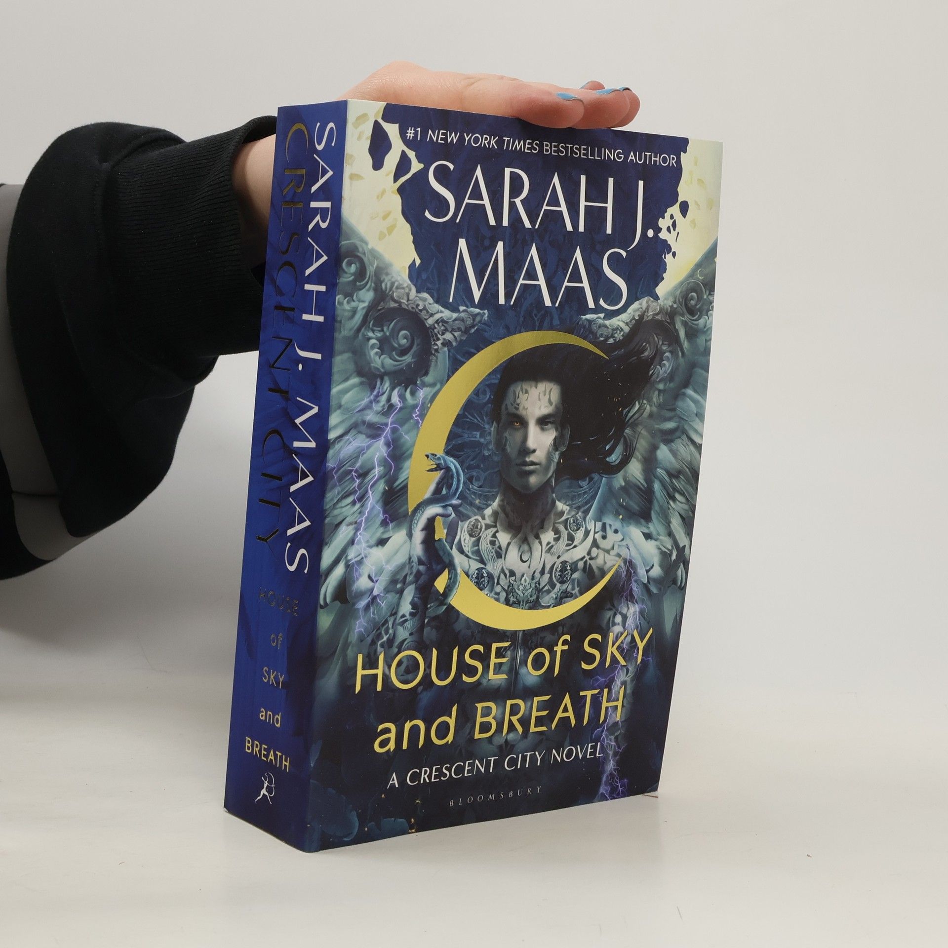 Sarah J. Maas House of sky and breath