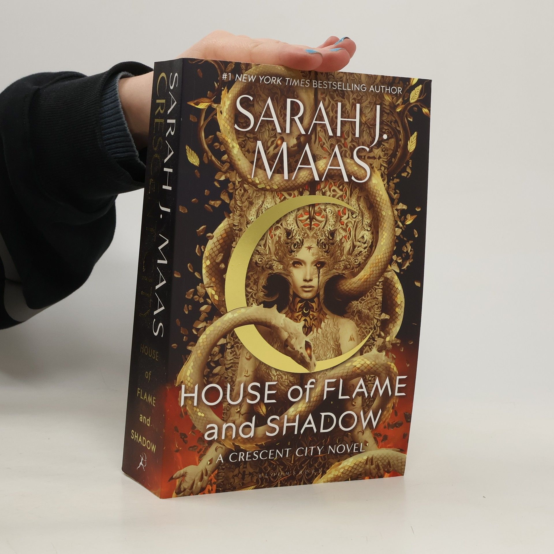 House of Flame and Shadow