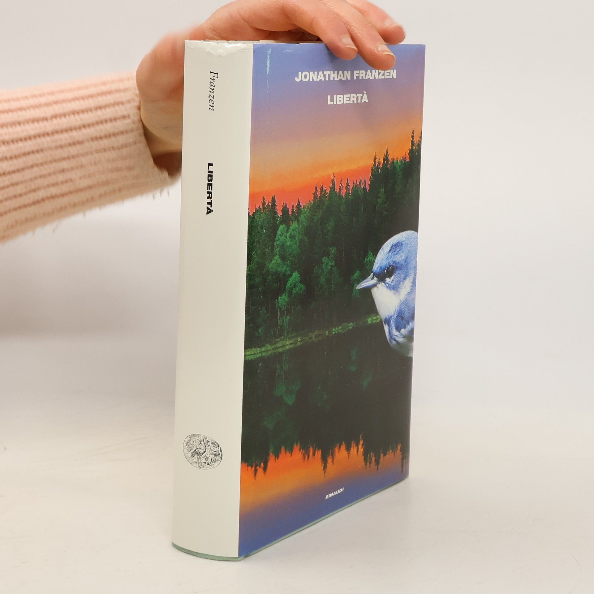 Jonathan Franzen Libertà