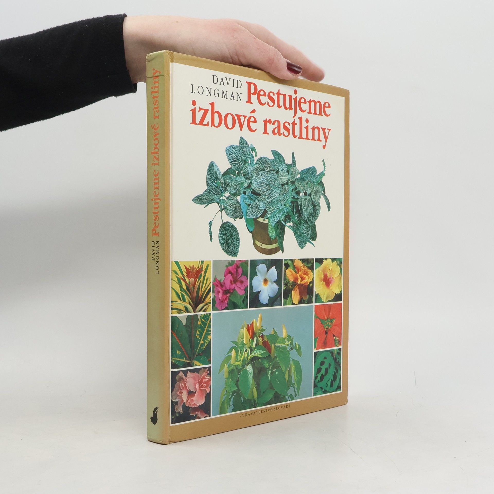 David Longman Pestujeme izbové rastliny