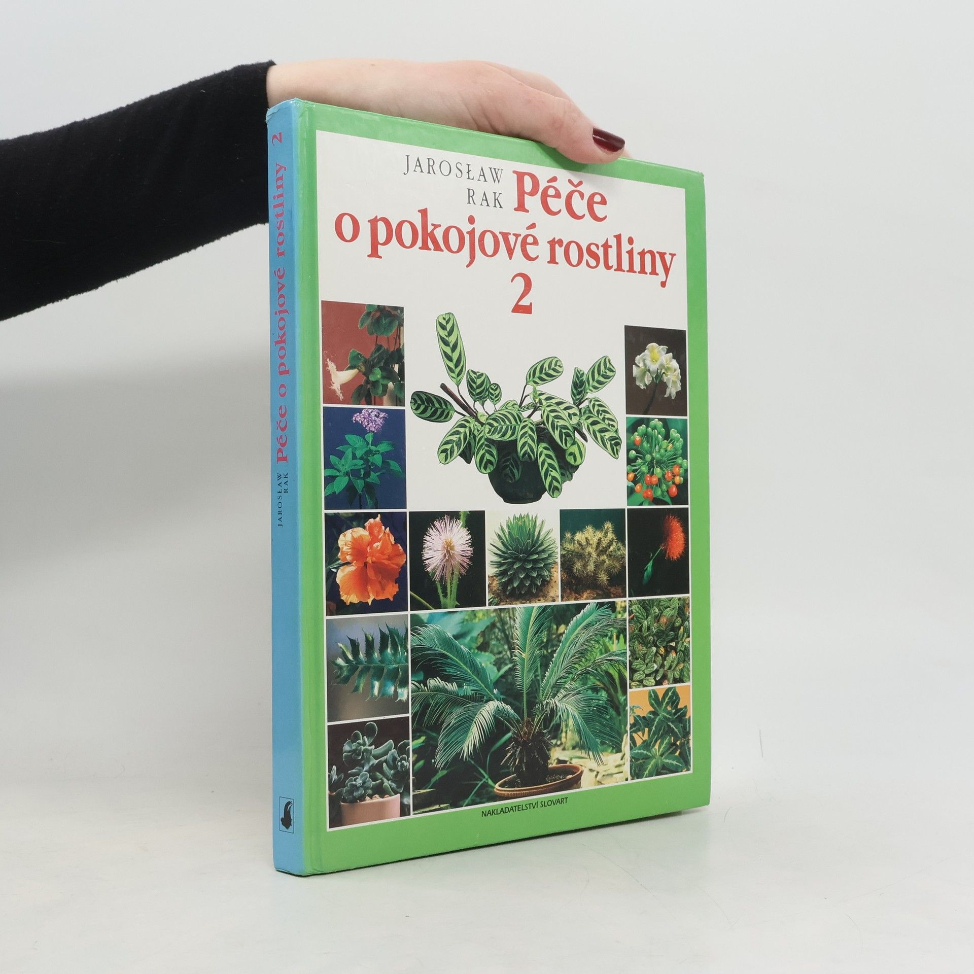 Jarosław Rak Péče o pokojové rostliny 2