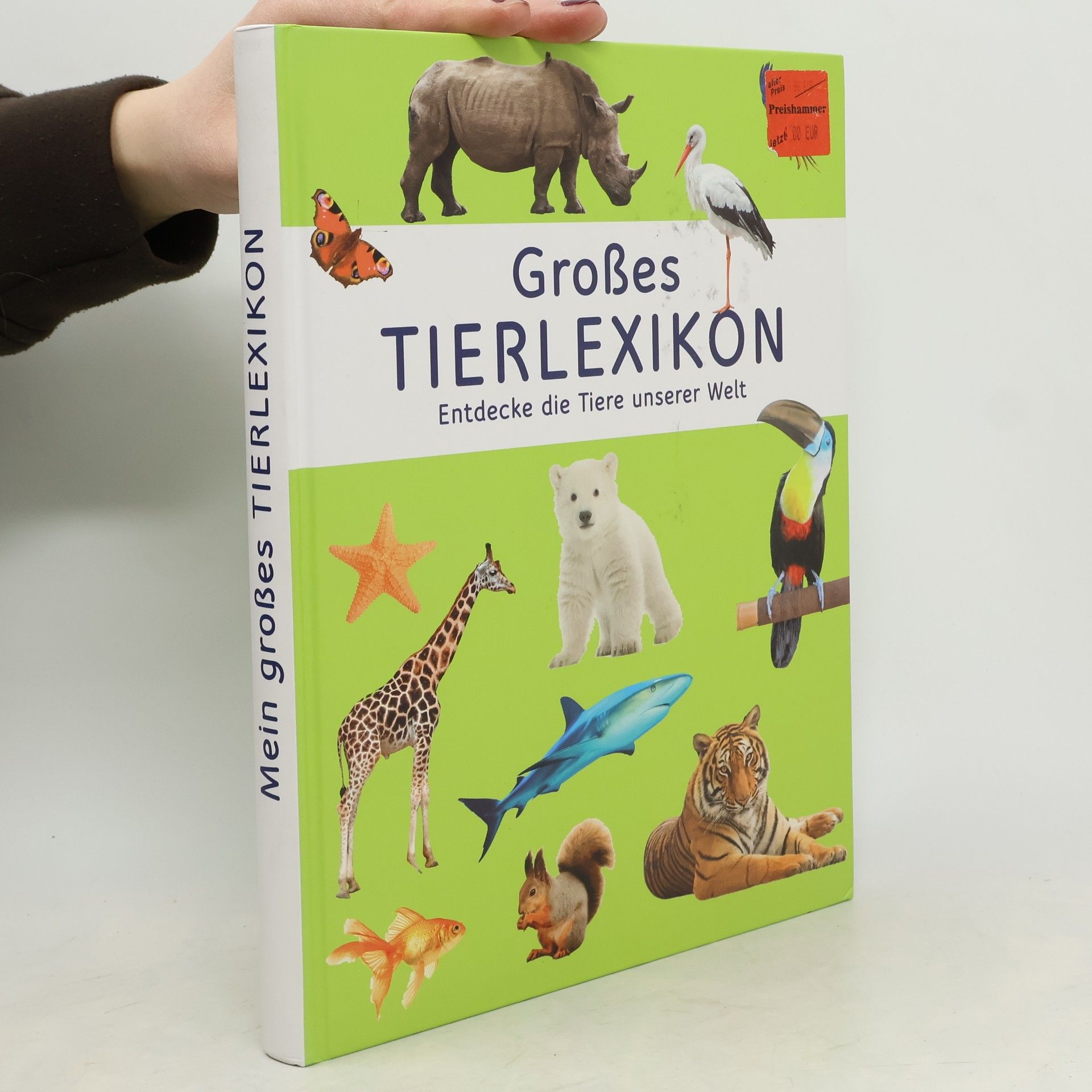 Kolektív autorov Großes Tierlexikon. Entdecke die Tiere unserer Welt