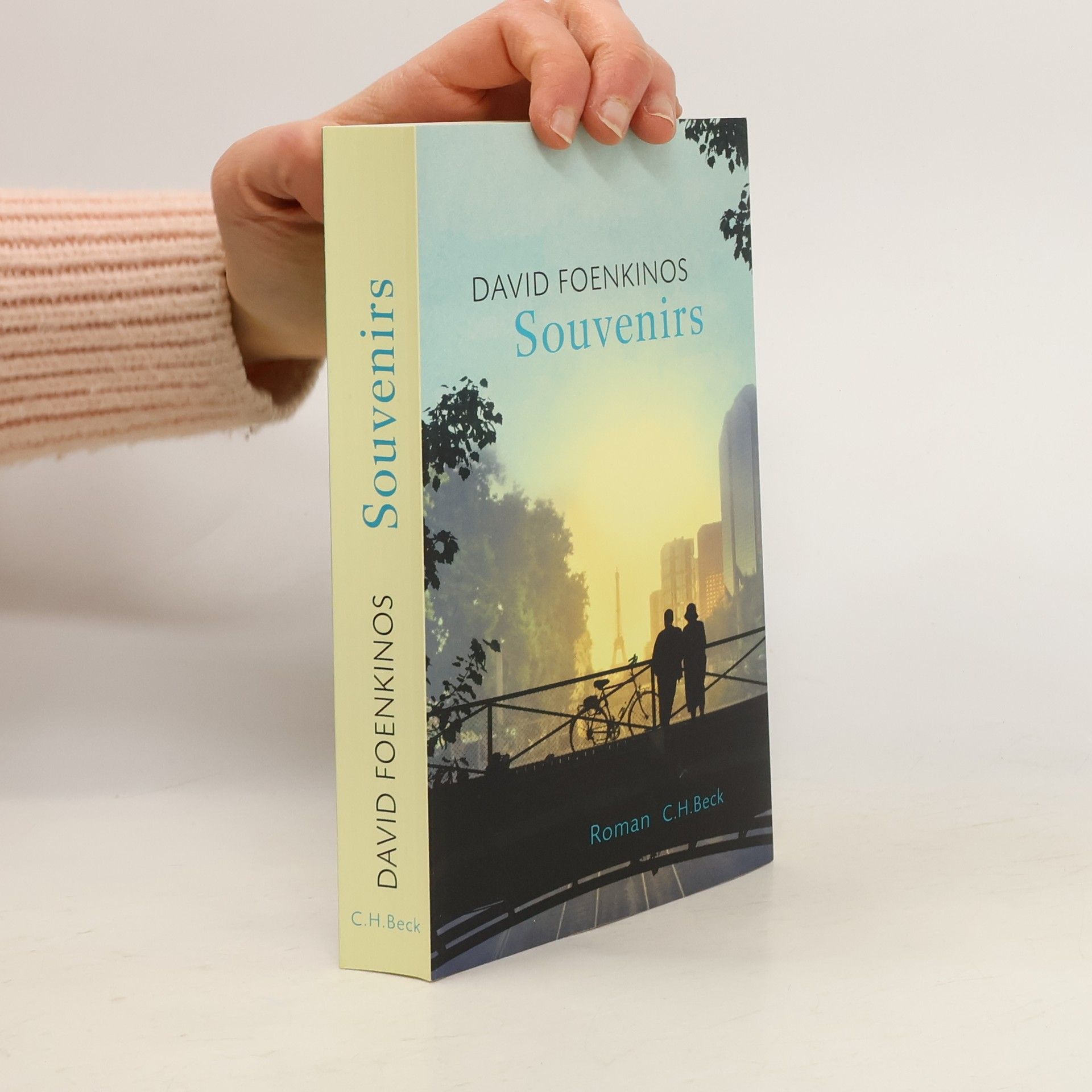 David Foenkinos Souvenirs