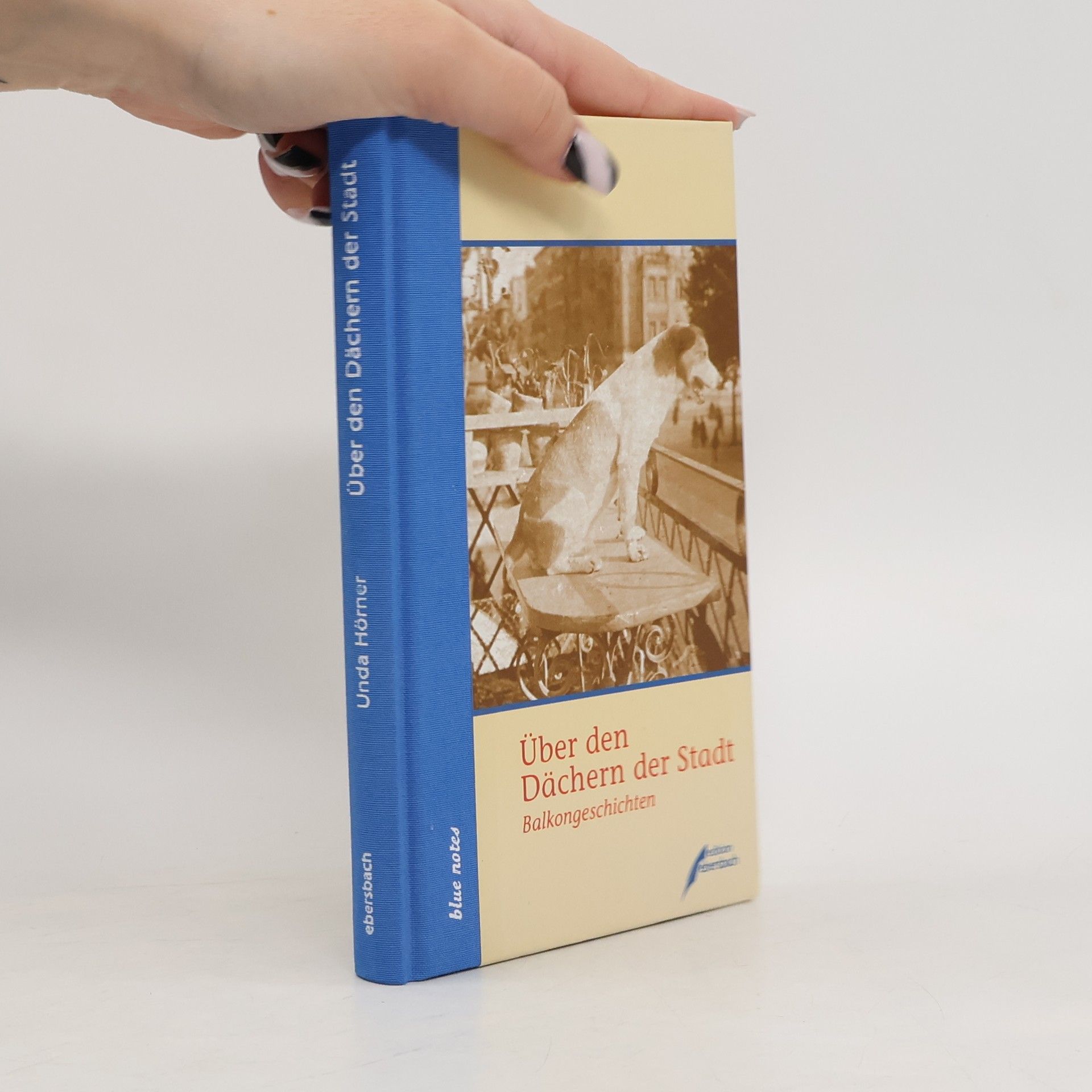 Unda Hörner blue notes - 31: Über den Dächern der Stadt