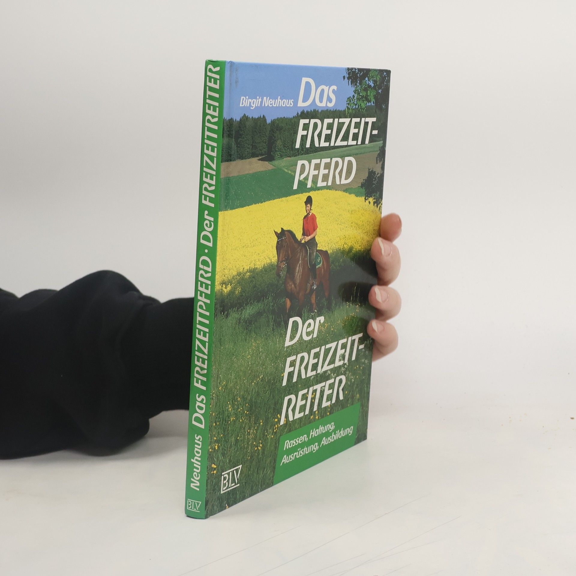 Das Freizeitpferd - der Freizeitreiter