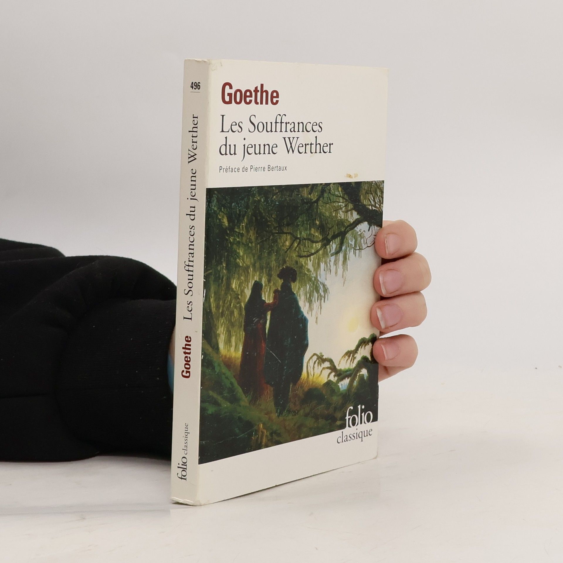 Johann Wolfgang von Goethe Les Souffrances du jeune Werther