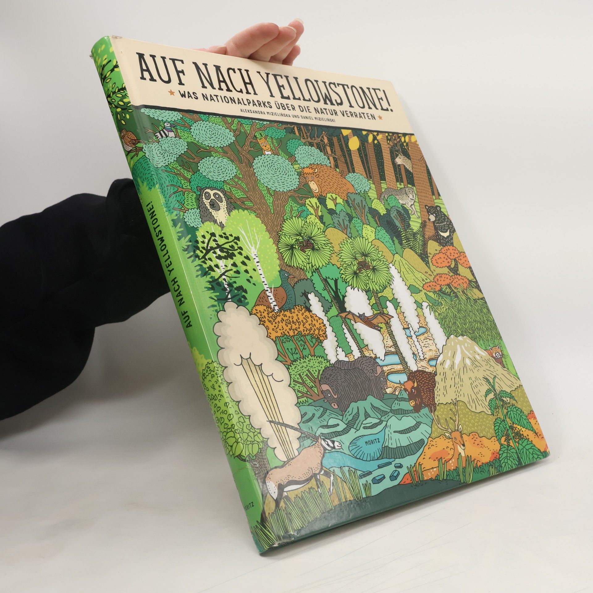 Auf nach Yellowstone!