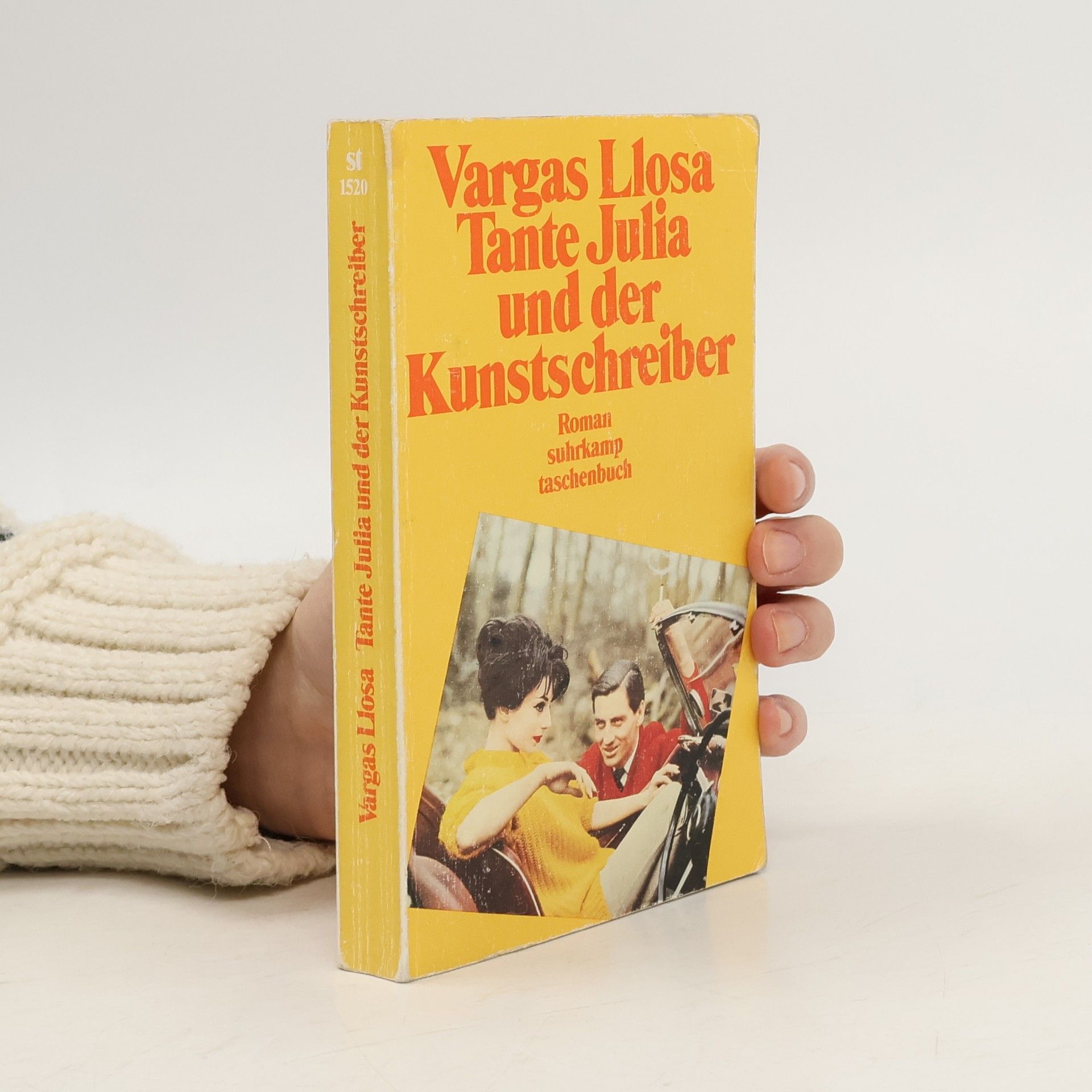 Mario Vargas Llosa Tante Julia und der Kunstschreiber