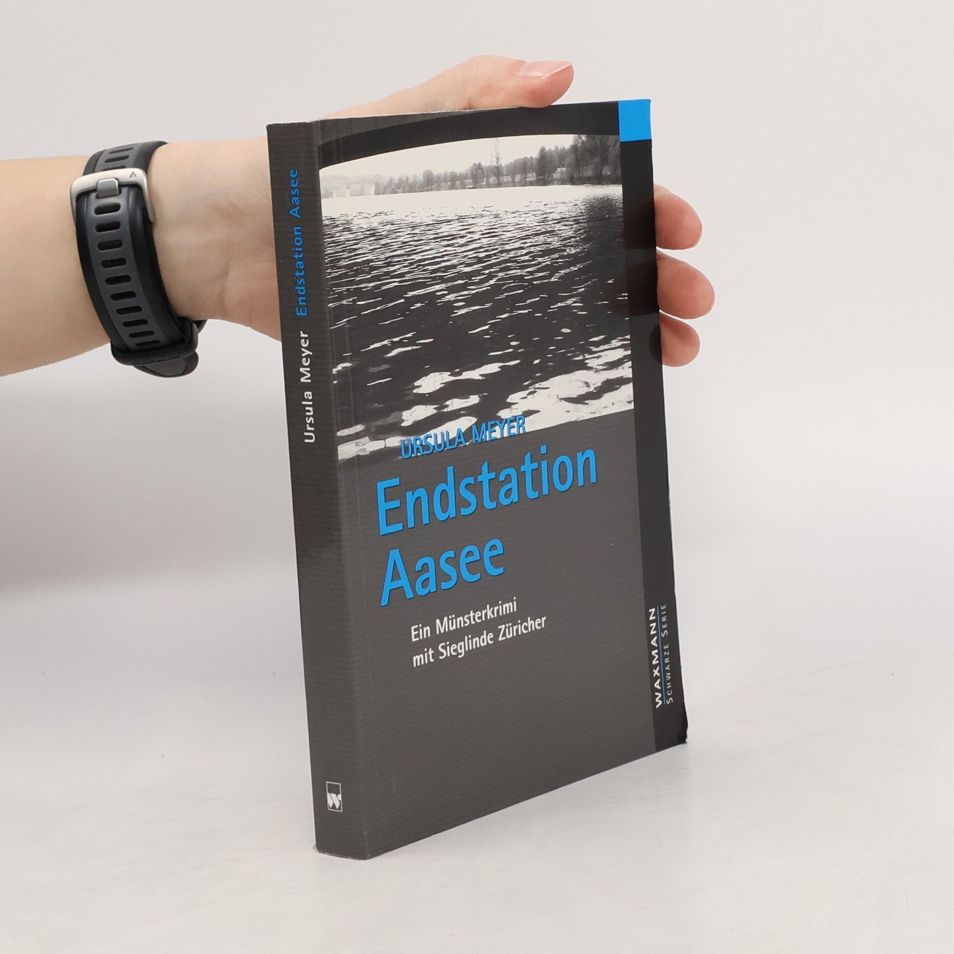 Ursula Meyer-Semlies Endstation Aasee