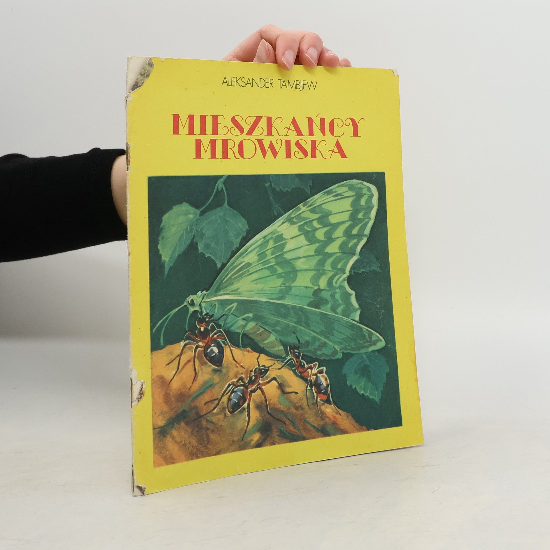 Aleksander Tambijew Mieszkańcy mrowiska