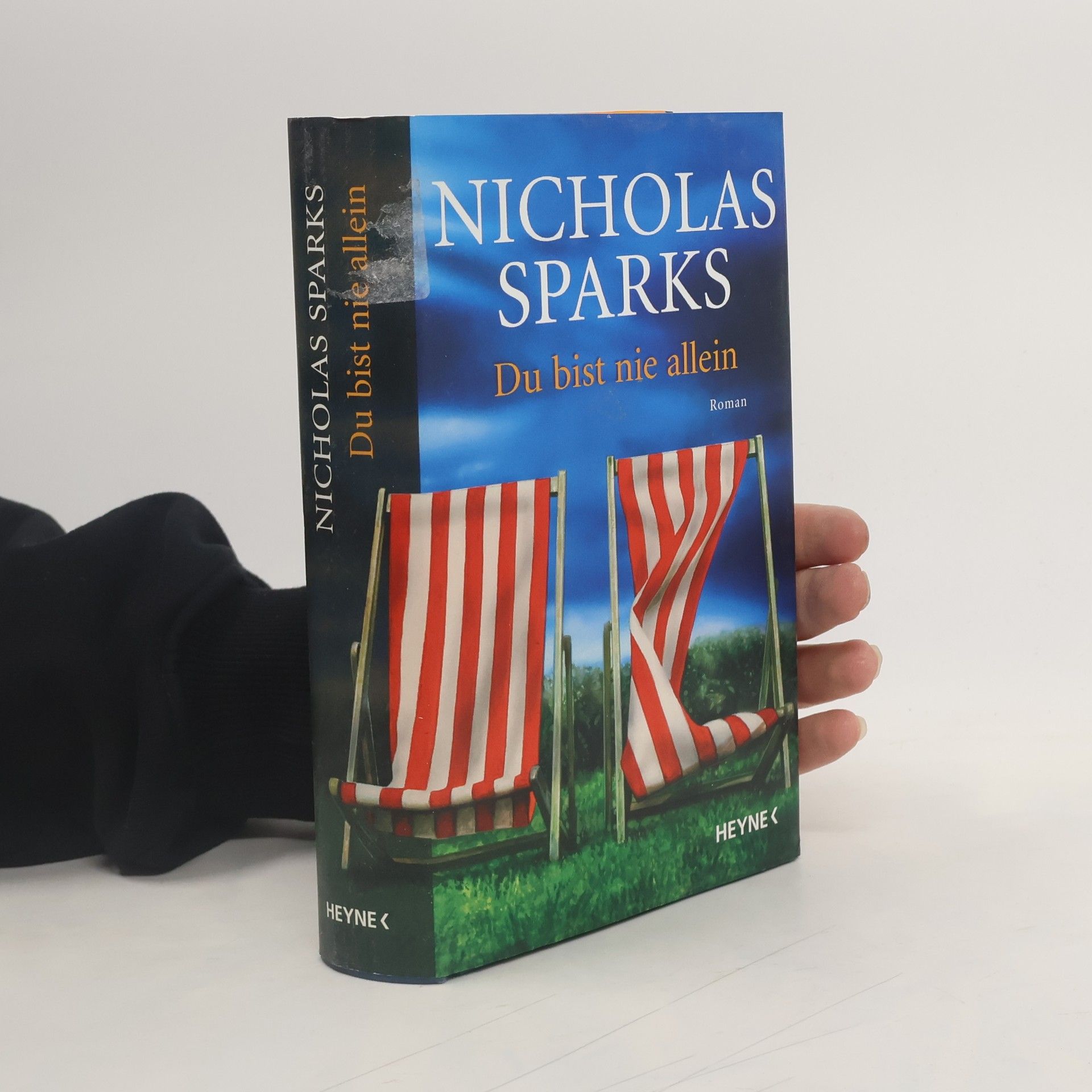 Nicholas Sparks Du bist nie allein