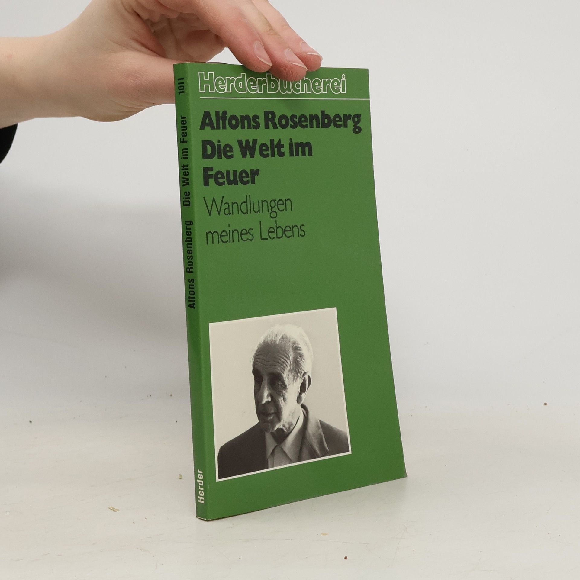 Alfons Rosenberg Die Welt im Feuer