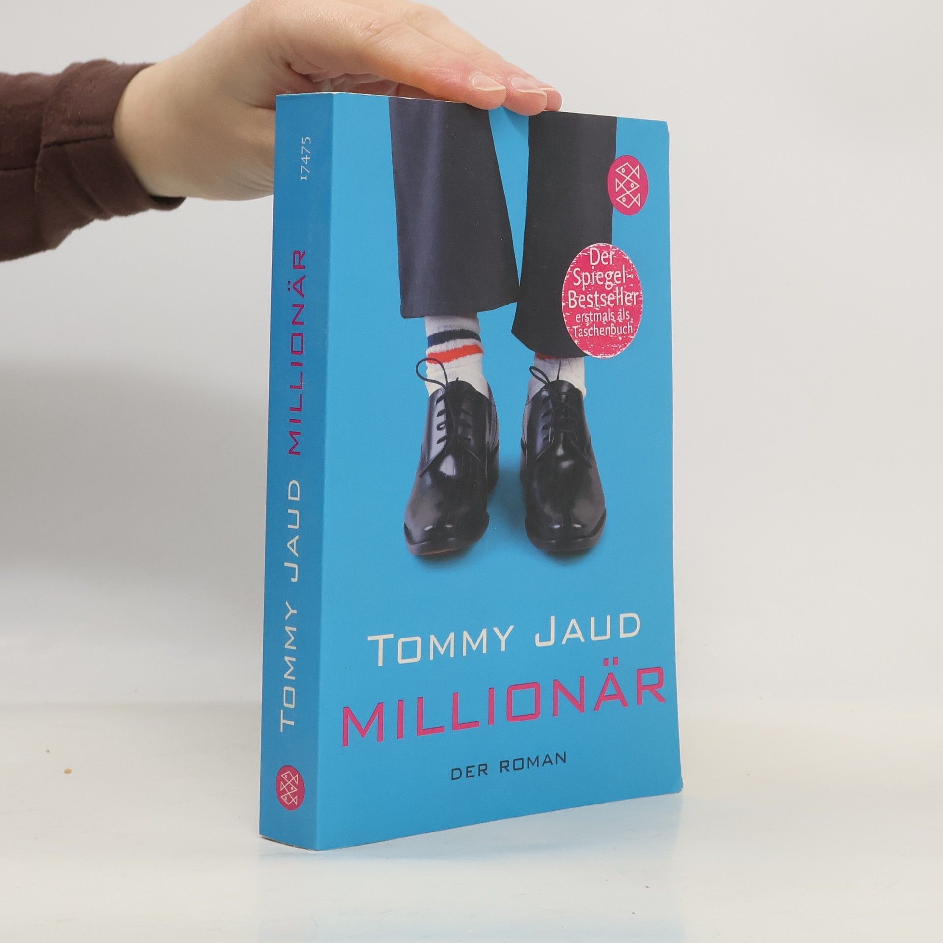 Tommy Jaud Millionär