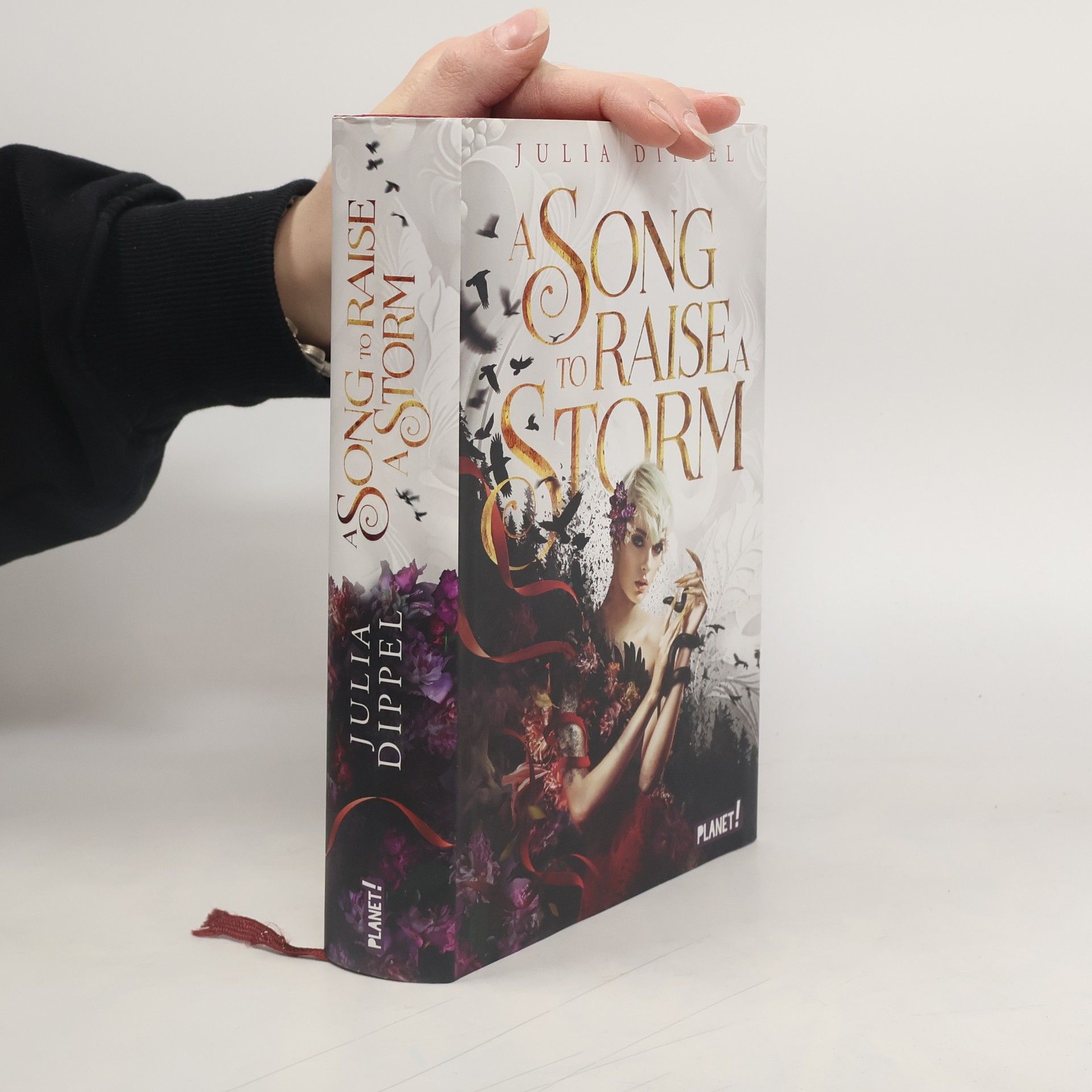 Julia Dippel Die Sonnenfeuer-Ballade 1: A Song to Raise a Storm