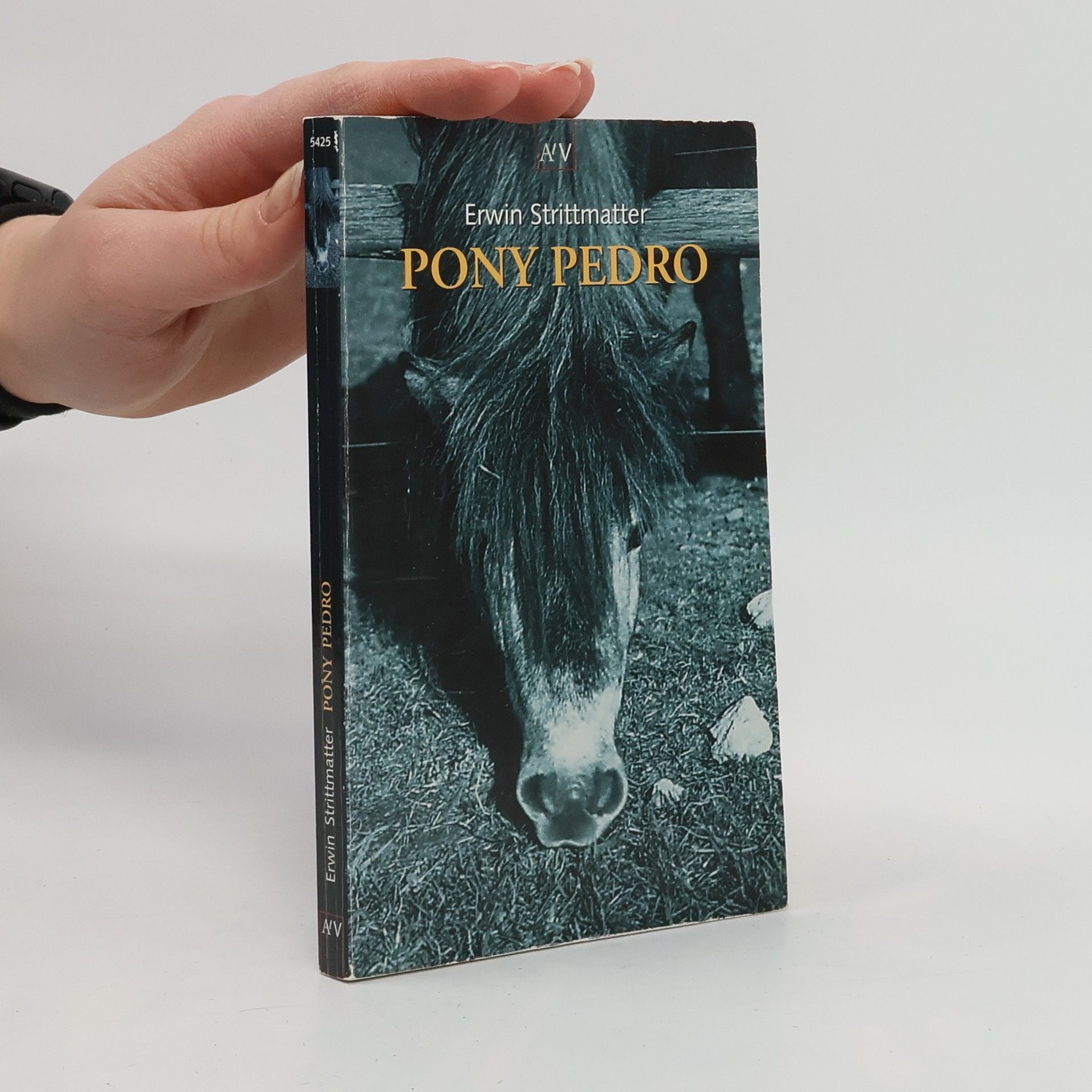 Erwin Strittmatter Pony Pedro