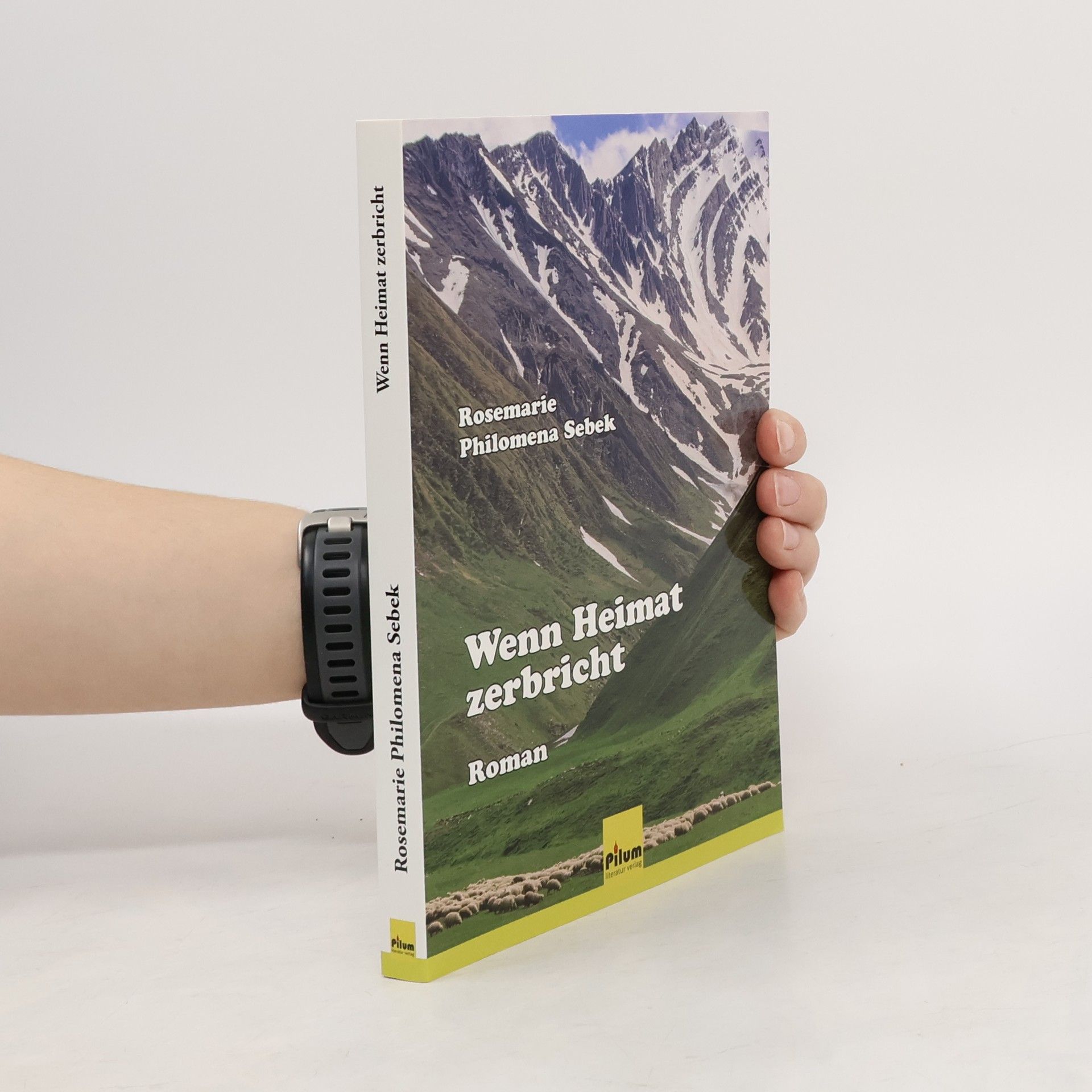 Rosemarie Philomena Sebek Wenn Heimat zerbricht