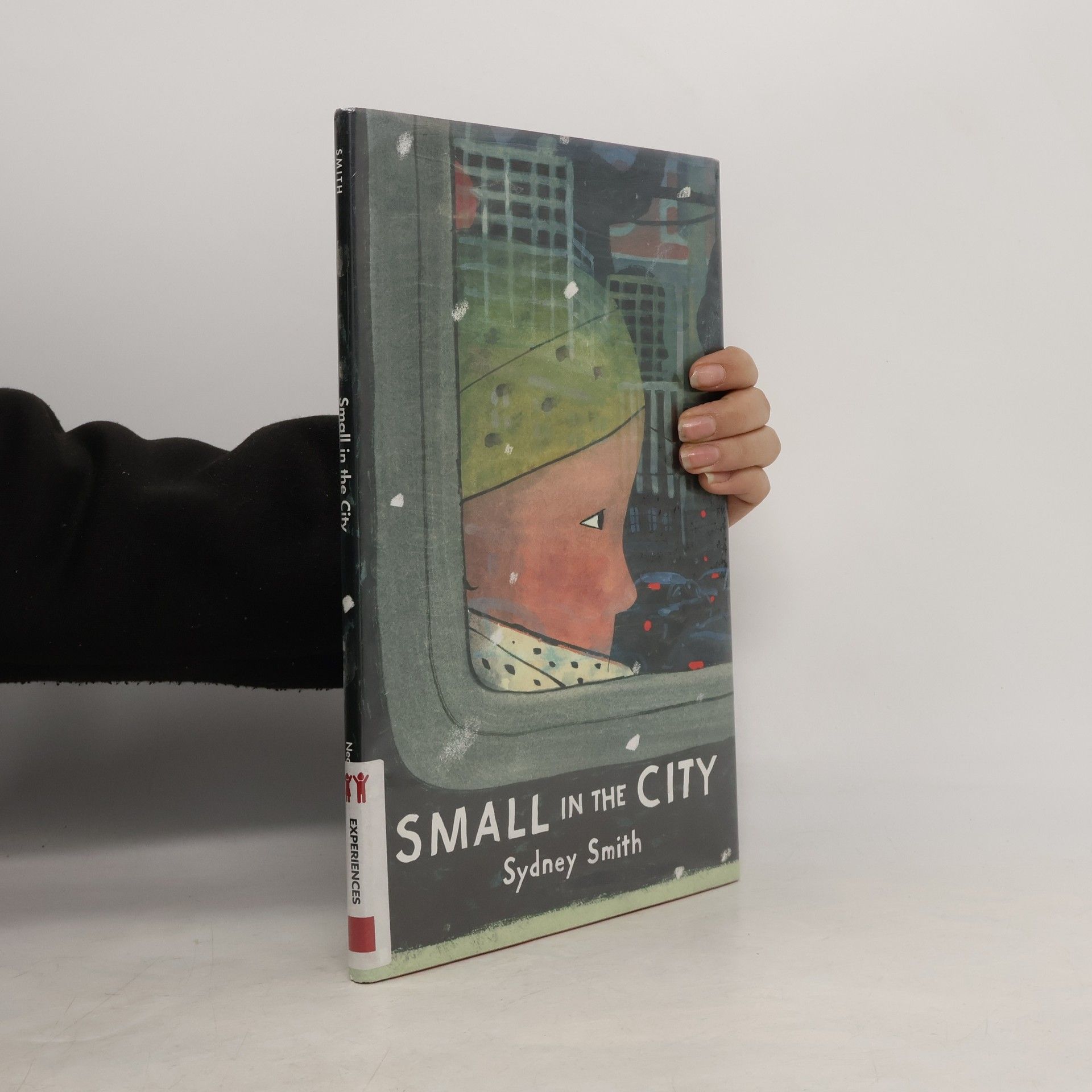 Nicole Mockler Small in the City