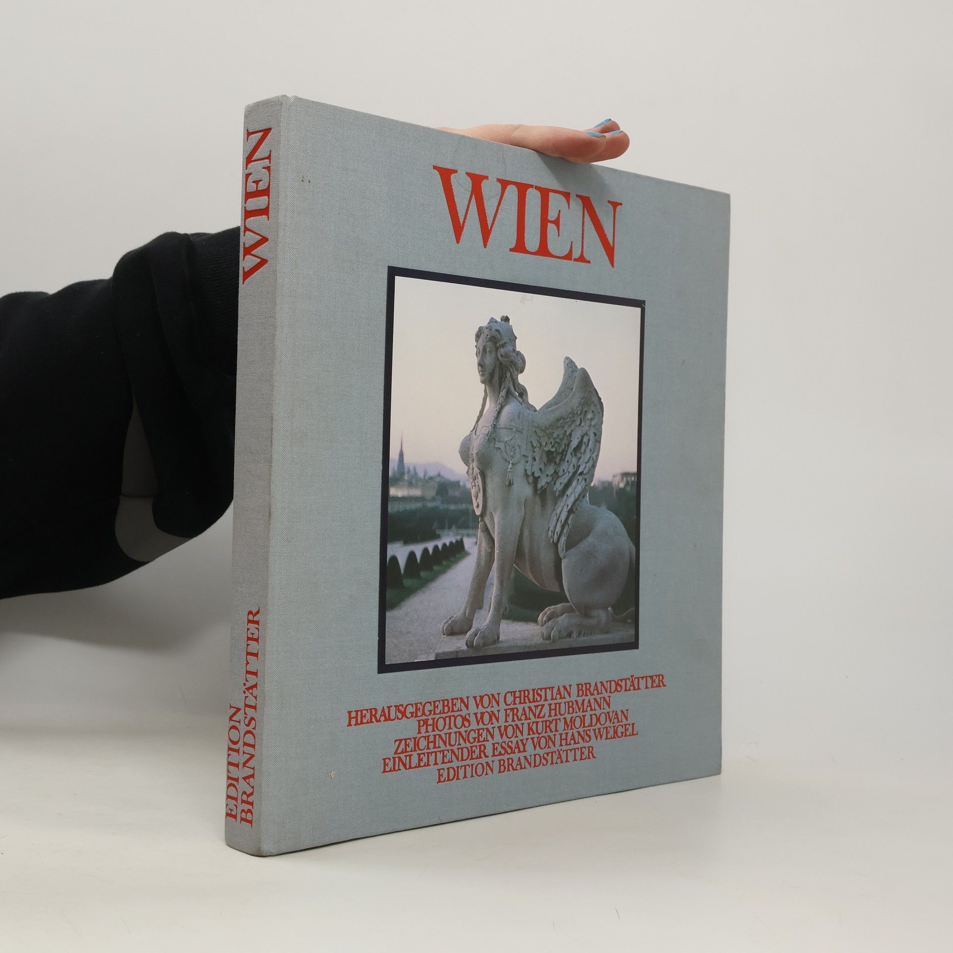 Kolektív autorov Wien