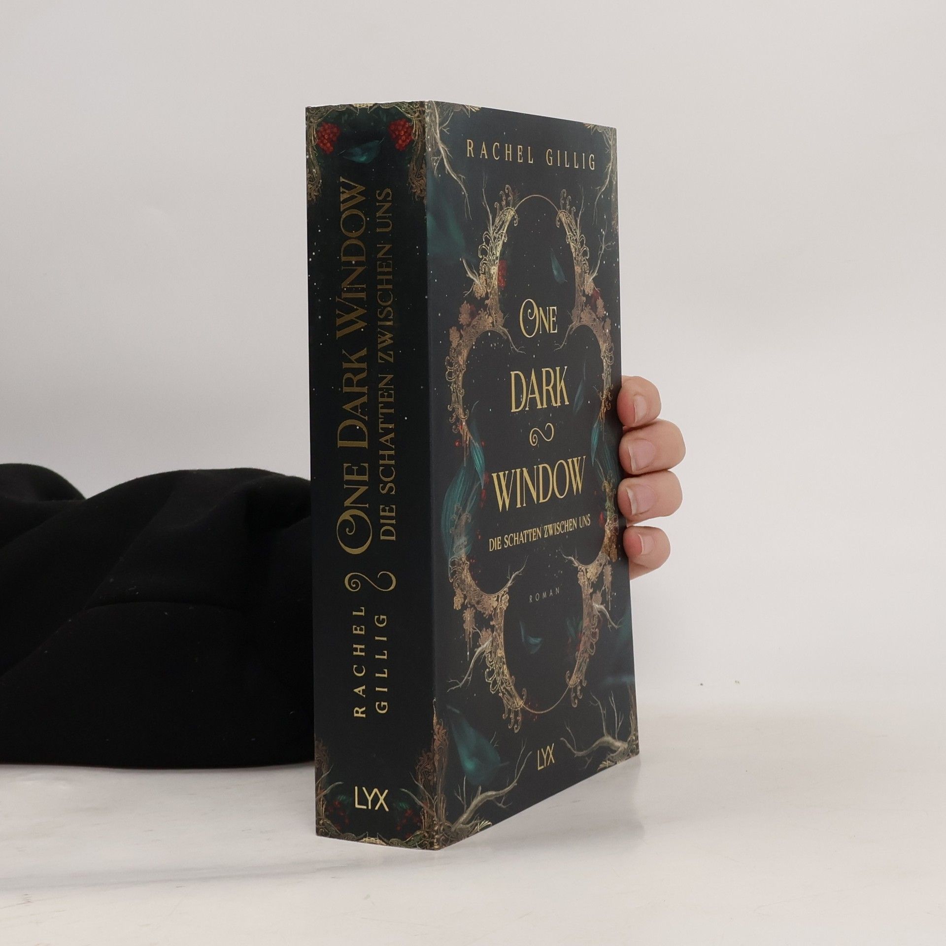 Rachel Gillig One Dark Window - Die Schatten zwischen uns