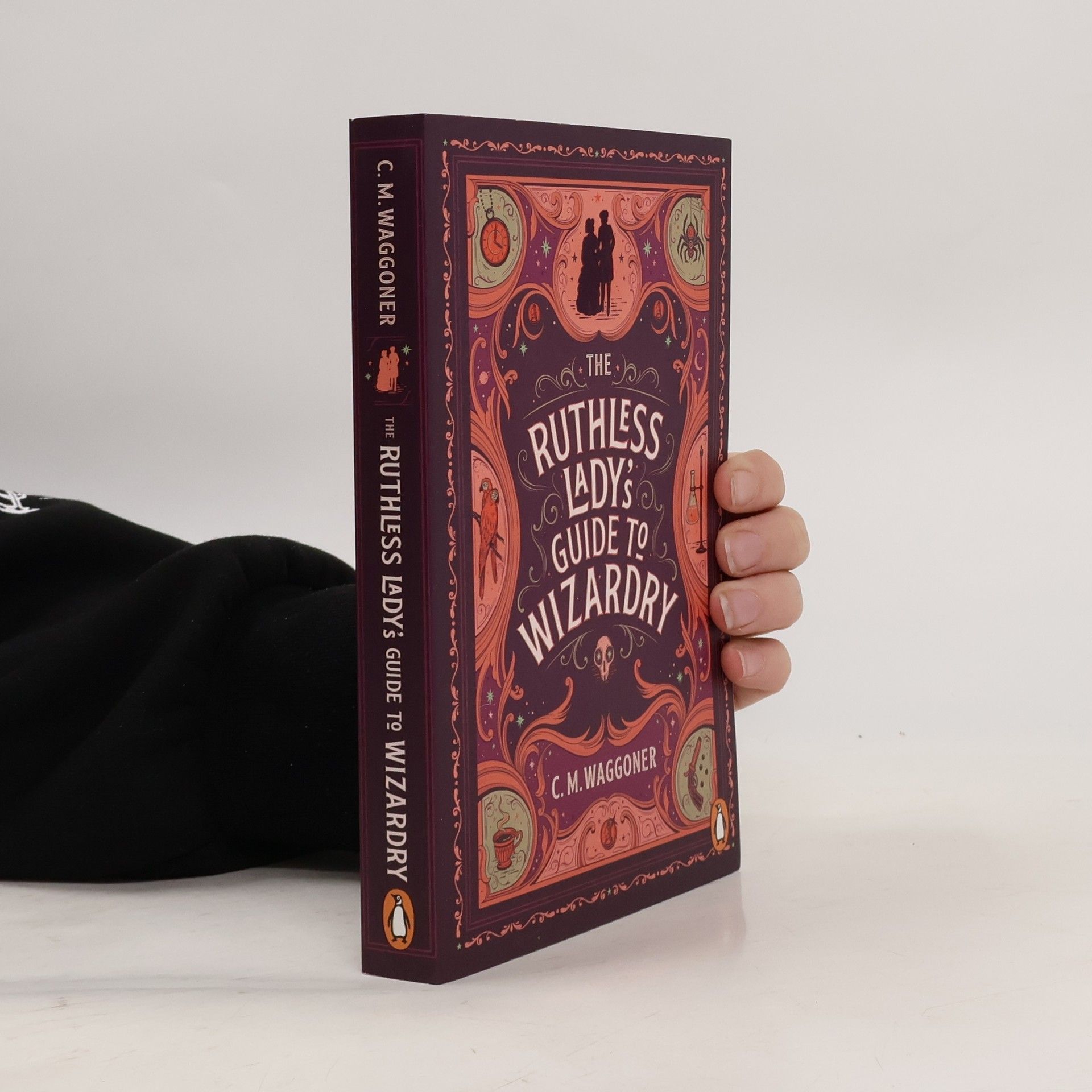 The Ruthless Lady's Guide to Wizardry